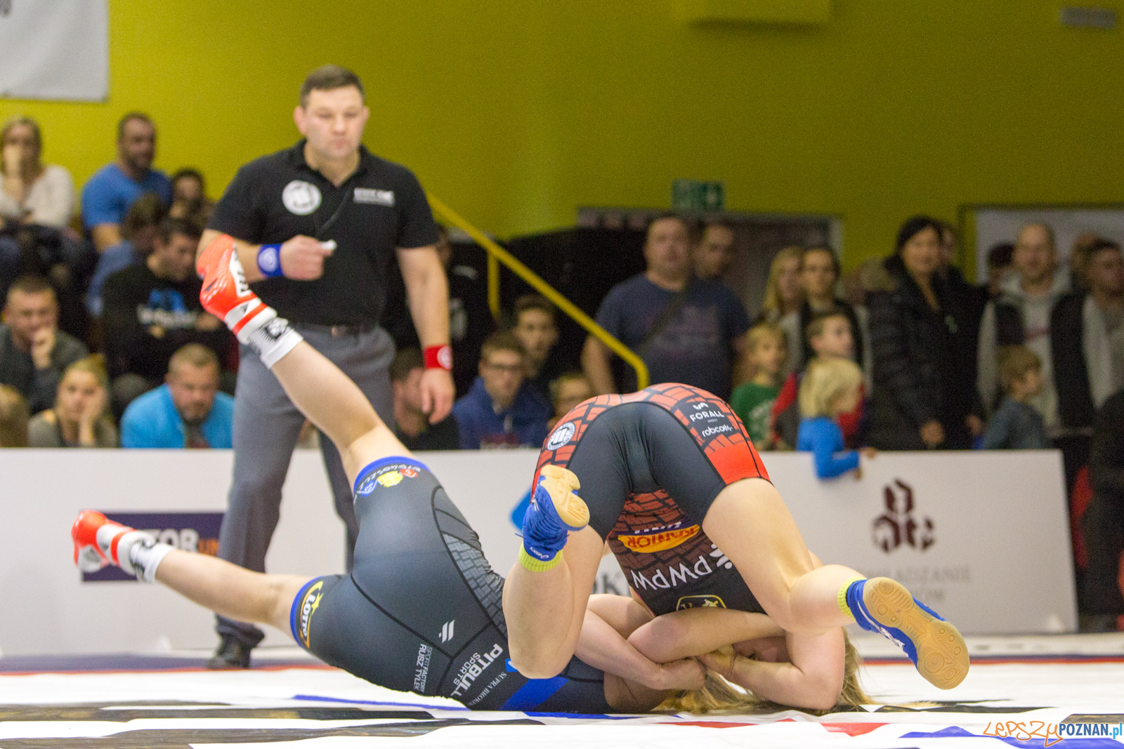 WZS WKS Grunwald -KS Sobieski Poznań - LOTTO Zapasy Bydgoszcz Foto: lepszyPOZNAN.pl/Piotr Rychter WZS WKS Grunwald -KS Sobieski Poznań - LOTTO Zapasy Bydgoszcz Foto: lepszyPOZNAN.pl/Piotr Rychter