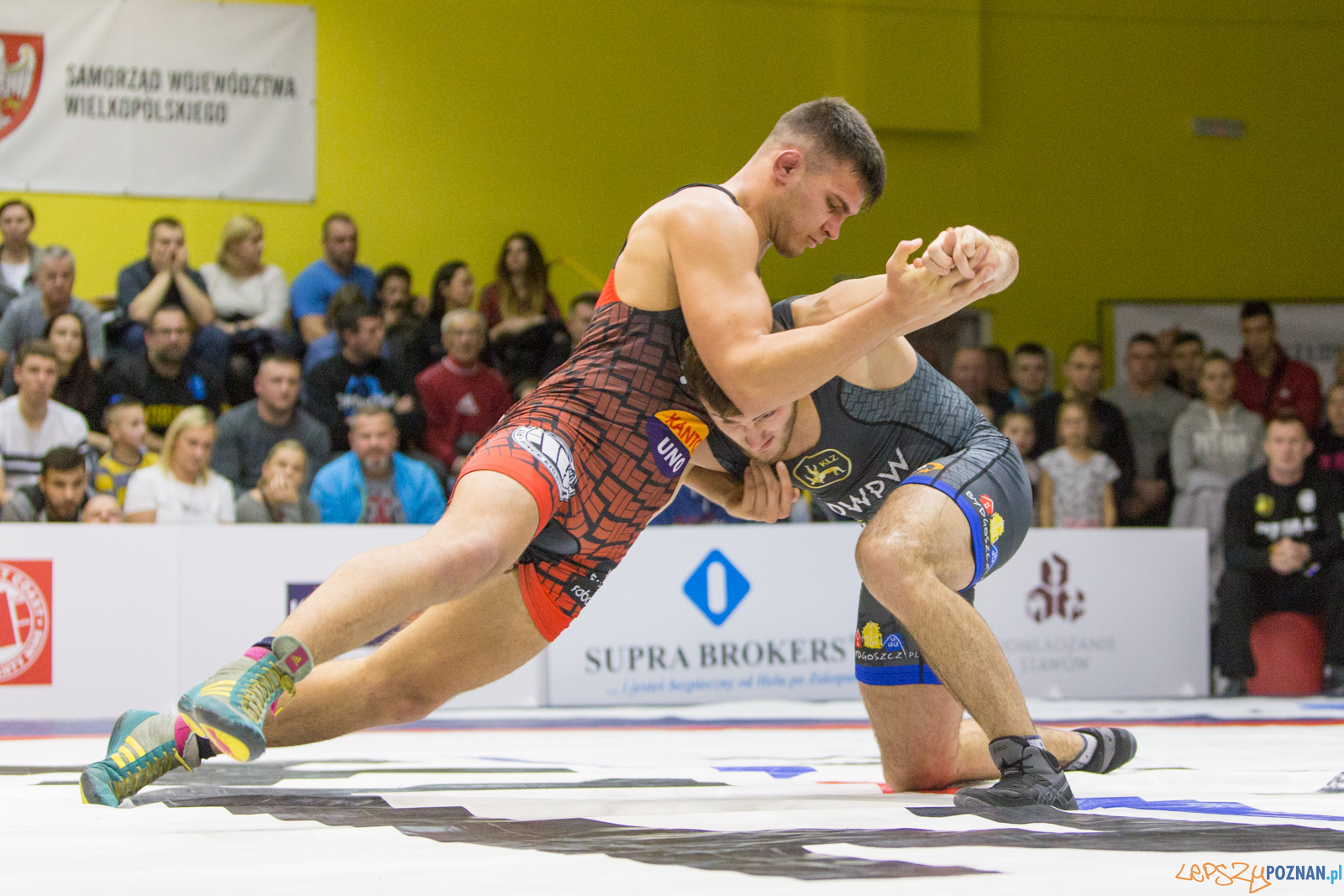 WZS WKS Grunwald -KS Sobieski Poznań - LOTTO Zapasy Bydgoszcz Foto: lepszyPOZNAN.pl/Piotr Rychter WZS WKS Grunwald -KS Sobieski Poznań - LOTTO Zapasy Bydgoszcz Foto: lepszyPOZNAN.pl/Piotr Rychter