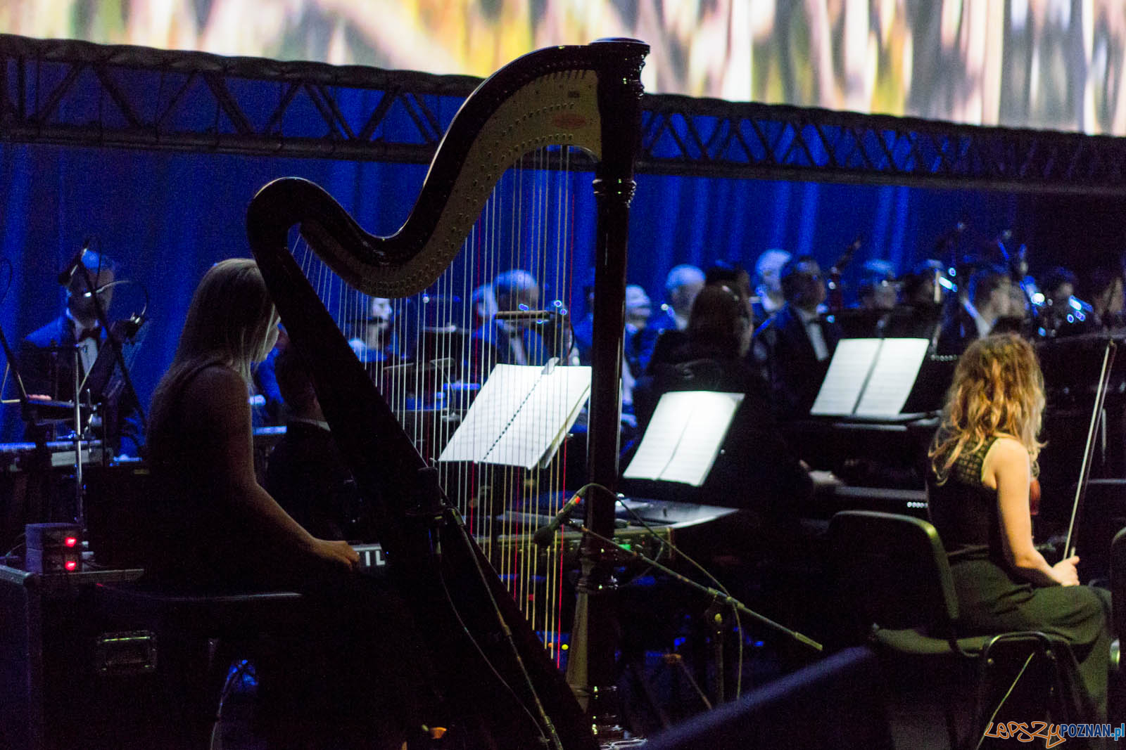 La La Land Foto: lepszyPOZNAN.pl / Ewelina Jaskowiak La La Land Foto: lepszyPOZNAN.pl / Ewelina Jaskowiak