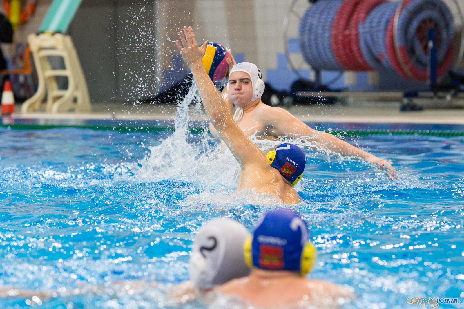 Waterpolo Poznań vs UKS Neptun Łódź Foto: lepszyPOZNAN.pl/Piotr Rychter Waterpolo Poznań vs UKS Neptun Łódź Foto: lepszyPOZNAN.pl/Piotr Rychter