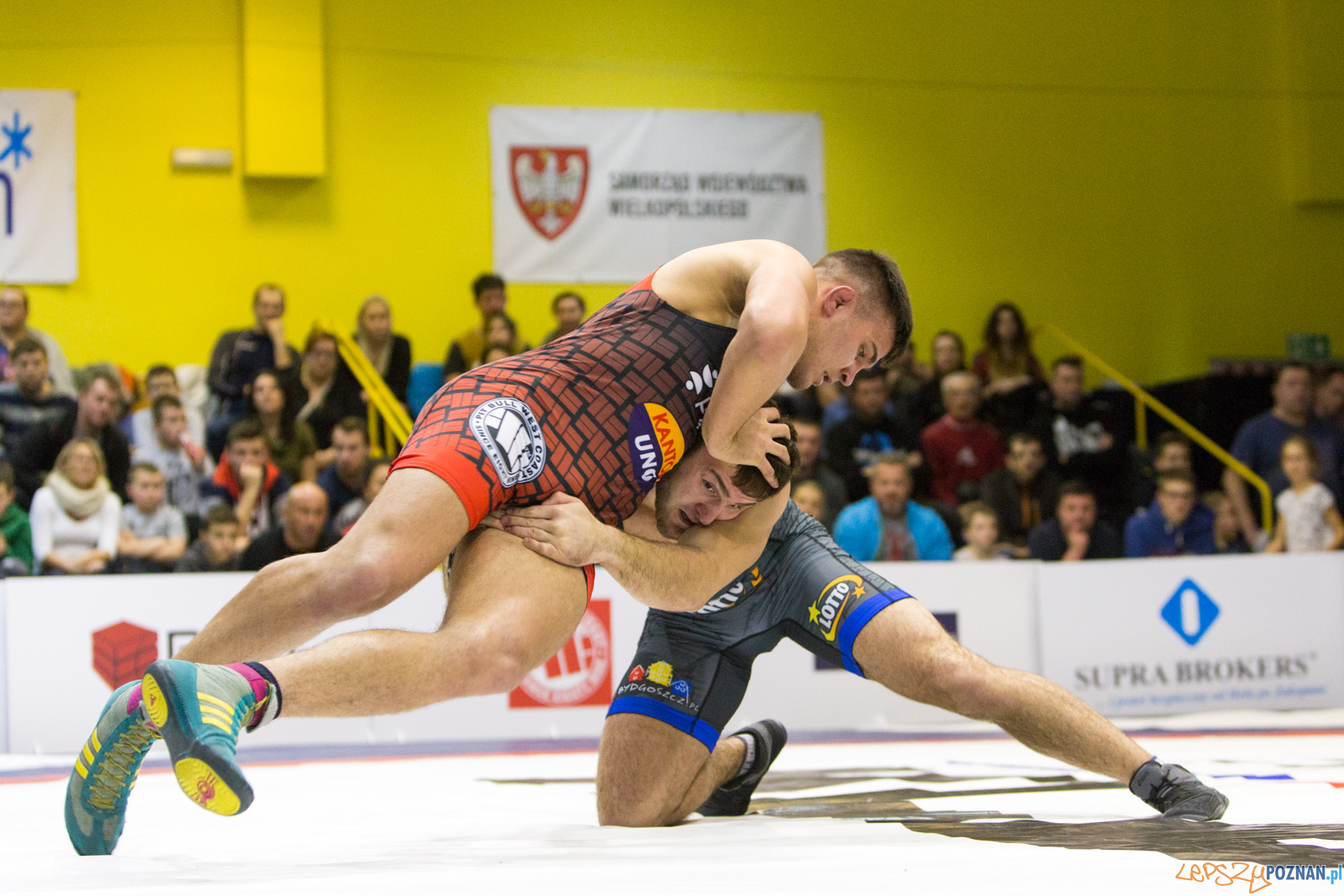 WZS WKS Grunwald -KS Sobieski Poznań - LOTTO Zapasy Bydgoszcz Foto: lepszyPOZNAN.pl/Piotr Rychter WZS WKS Grunwald -KS Sobieski Poznań - LOTTO Zapasy Bydgoszcz Foto: lepszyPOZNAN.pl/Piotr Rychter