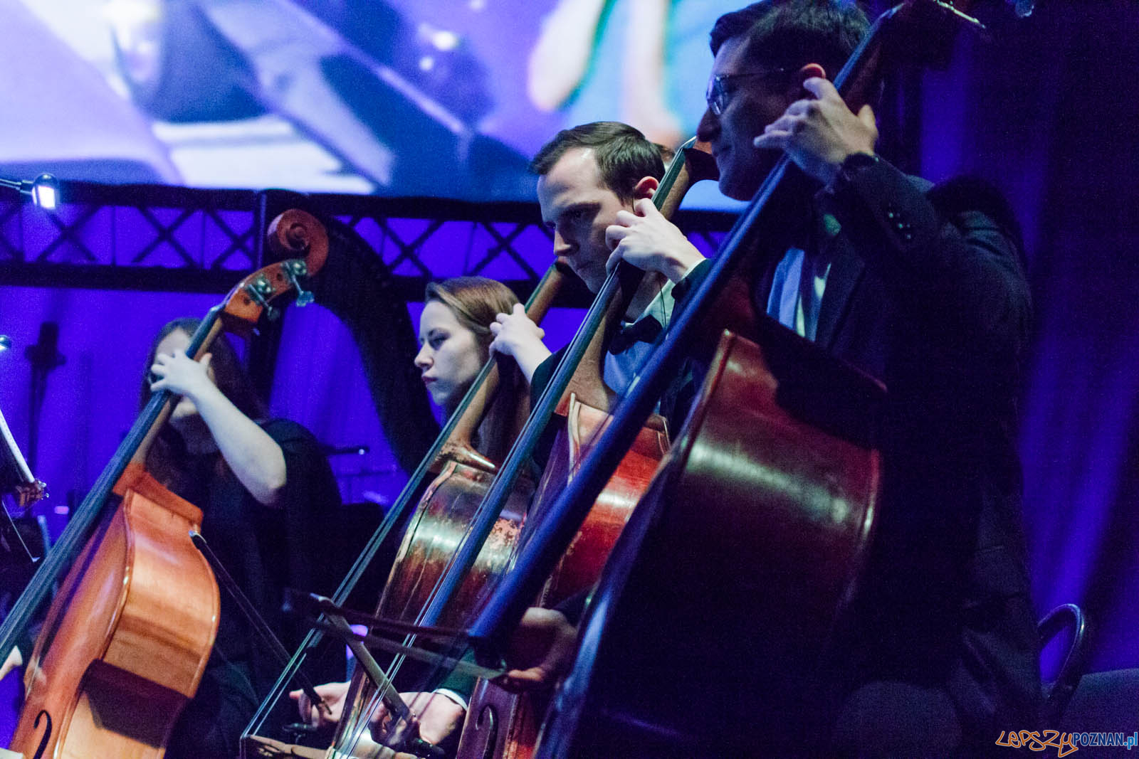 La La Land Foto: lepszyPOZNAN.pl / Ewelina Jaskowiak La La Land Foto: lepszyPOZNAN.pl / Ewelina Jaskowiak