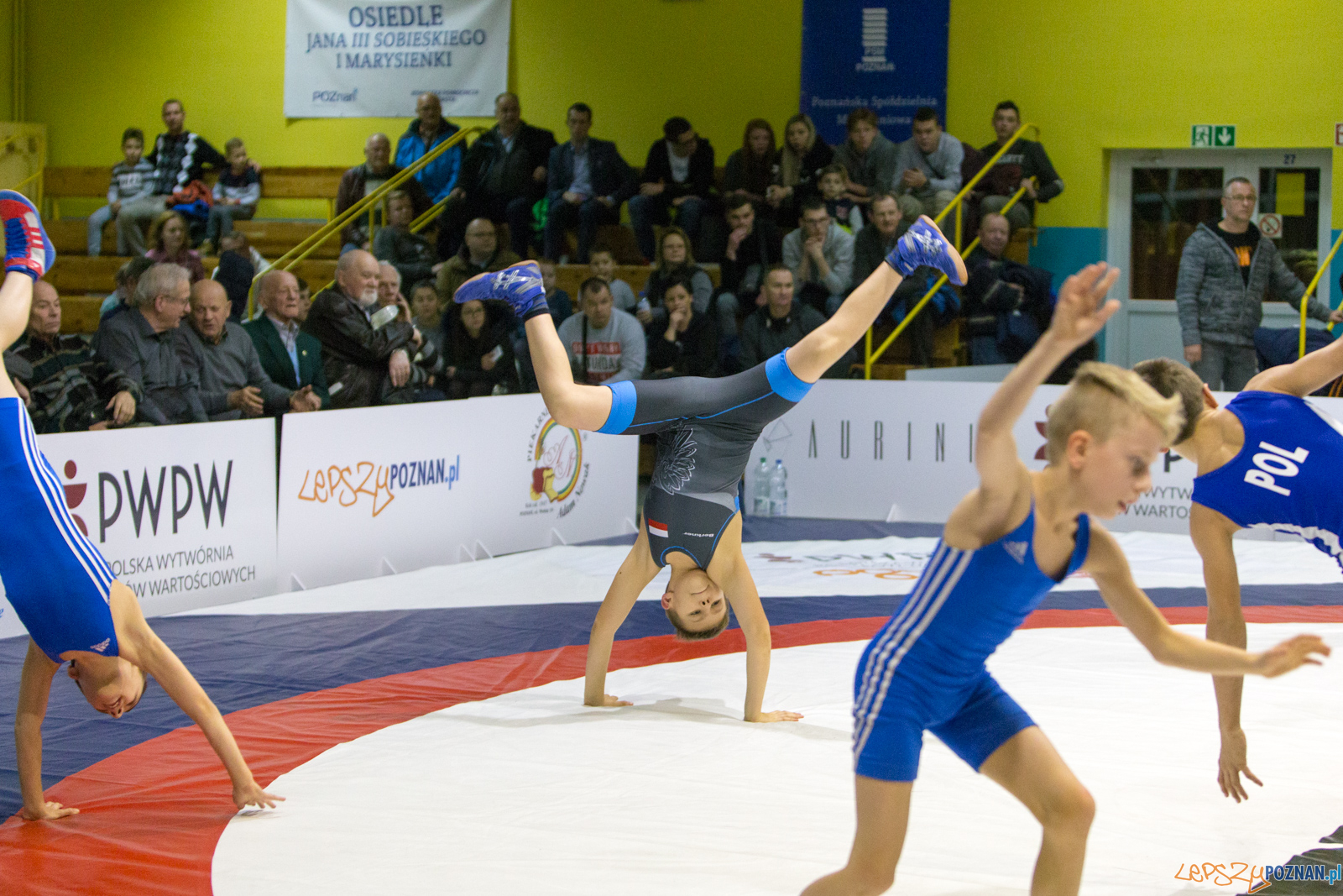 WZS WKS Grunwald -KS Sobieski Poznań - LOTTO Zapasy Bydgoszcz Foto: lepszyPOZNAN.pl/Piotr Rychter WZS WKS Grunwald -KS Sobieski Poznań - LOTTO Zapasy Bydgoszcz Foto: lepszyPOZNAN.pl/Piotr Rychter