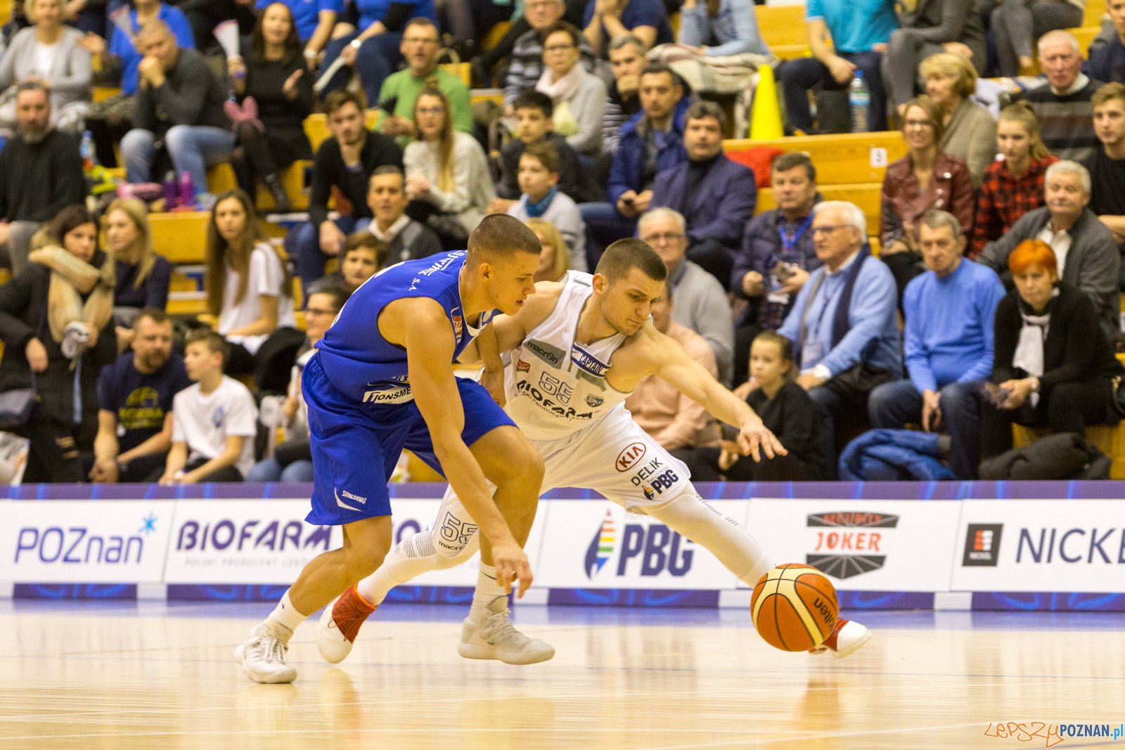Biofarm Basket - Polfarmex Kutno Foto: lepszyPOZNAN.pl/Piotr Rychter Biofarm Basket - Polfarmex Kutno Foto: lepszyPOZNAN.pl/Piotr Rychter
