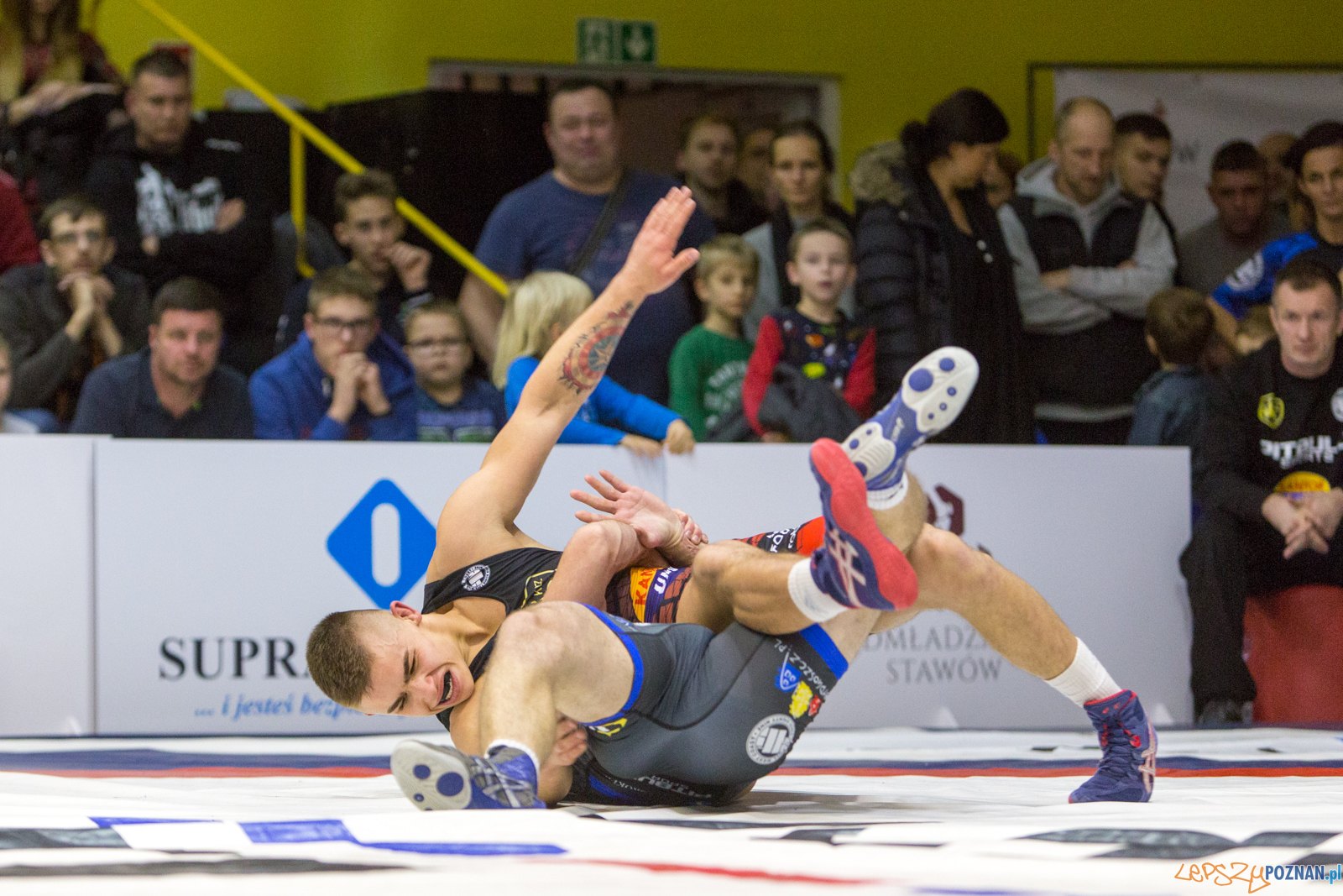 WZS WKS Grunwald -KS Sobieski Poznań - LOTTO Zapasy Bydgoszcz Foto: lepszyPOZNAN.pl/Piotr Rychter WZS WKS Grunwald -KS Sobieski Poznań - LOTTO Zapasy Bydgoszcz Foto: lepszyPOZNAN.pl/Piotr Rychter