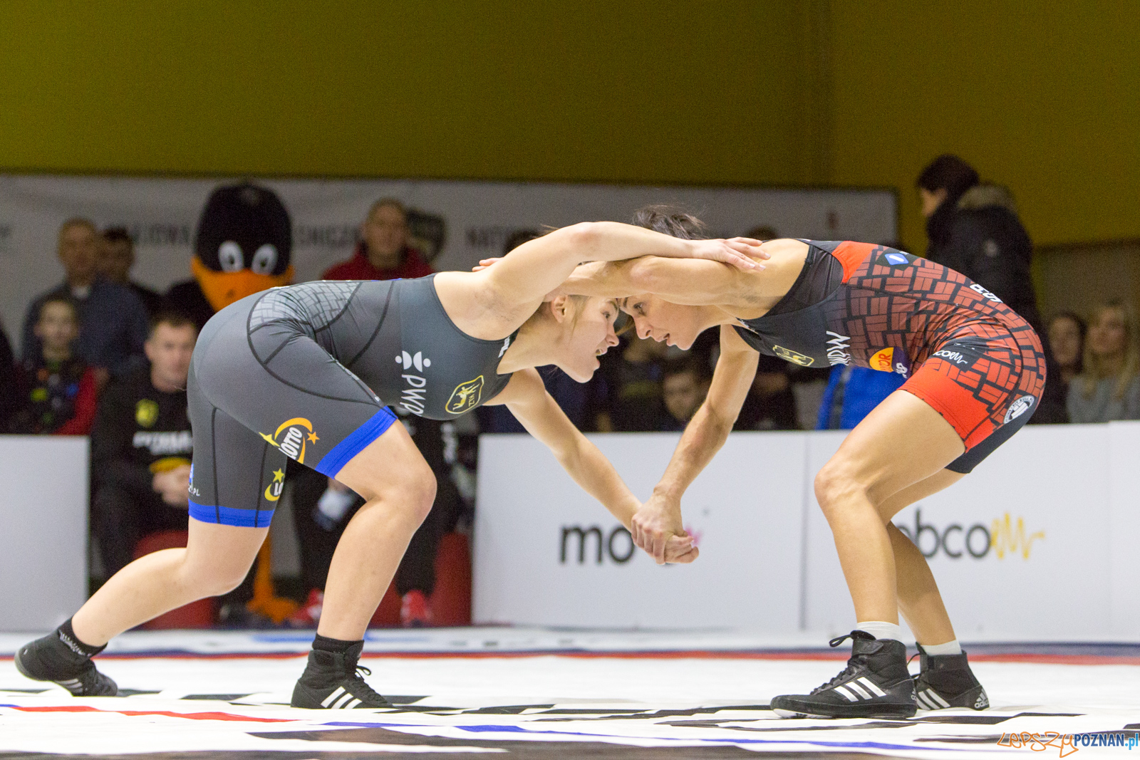 WZS WKS Grunwald -KS Sobieski Poznań - LOTTO Zapasy Bydgoszcz Foto: lepszyPOZNAN.pl/Piotr Rychter WZS WKS Grunwald -KS Sobieski Poznań - LOTTO Zapasy Bydgoszcz Foto: lepszyPOZNAN.pl/Piotr Rychter