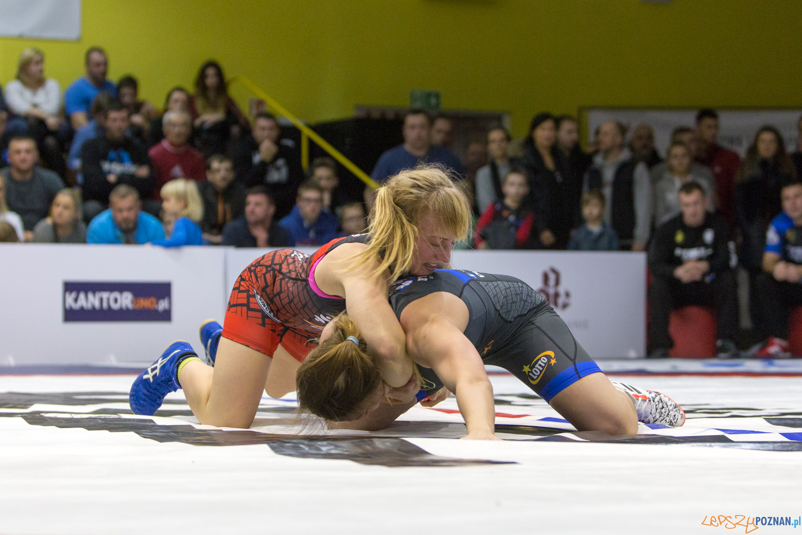 WZS WKS Grunwald -KS Sobieski Poznań - LOTTO Zapasy Bydgoszcz Foto: lepszyPOZNAN.pl/Piotr Rychter WZS WKS Grunwald -KS Sobieski Poznań - LOTTO Zapasy Bydgoszcz Foto: lepszyPOZNAN.pl/Piotr Rychter