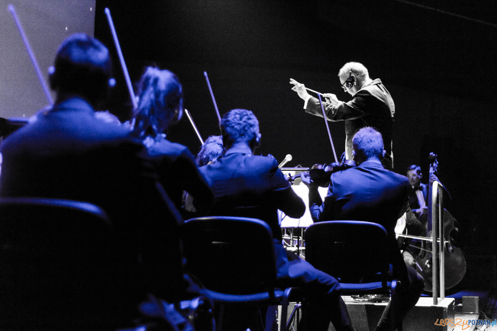 La La Land Foto: lepszyPOZNAN.pl / Ewelina Jaskowiak La La Land Foto: lepszyPOZNAN.pl / Ewelina Jaskowiak