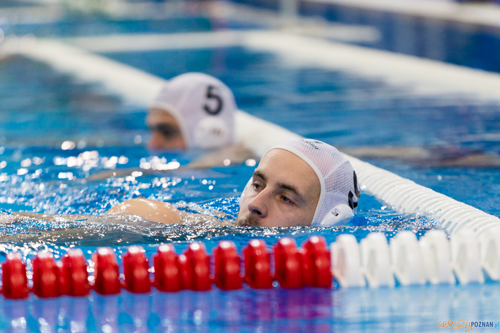 Waterpolo Poznań vs UKS Neptun Łódź Foto: lepszyPOZNAN.pl/Piotr Rychter Waterpolo Poznań vs UKS Neptun Łódź Foto: lepszyPOZNAN.pl/Piotr Rychter