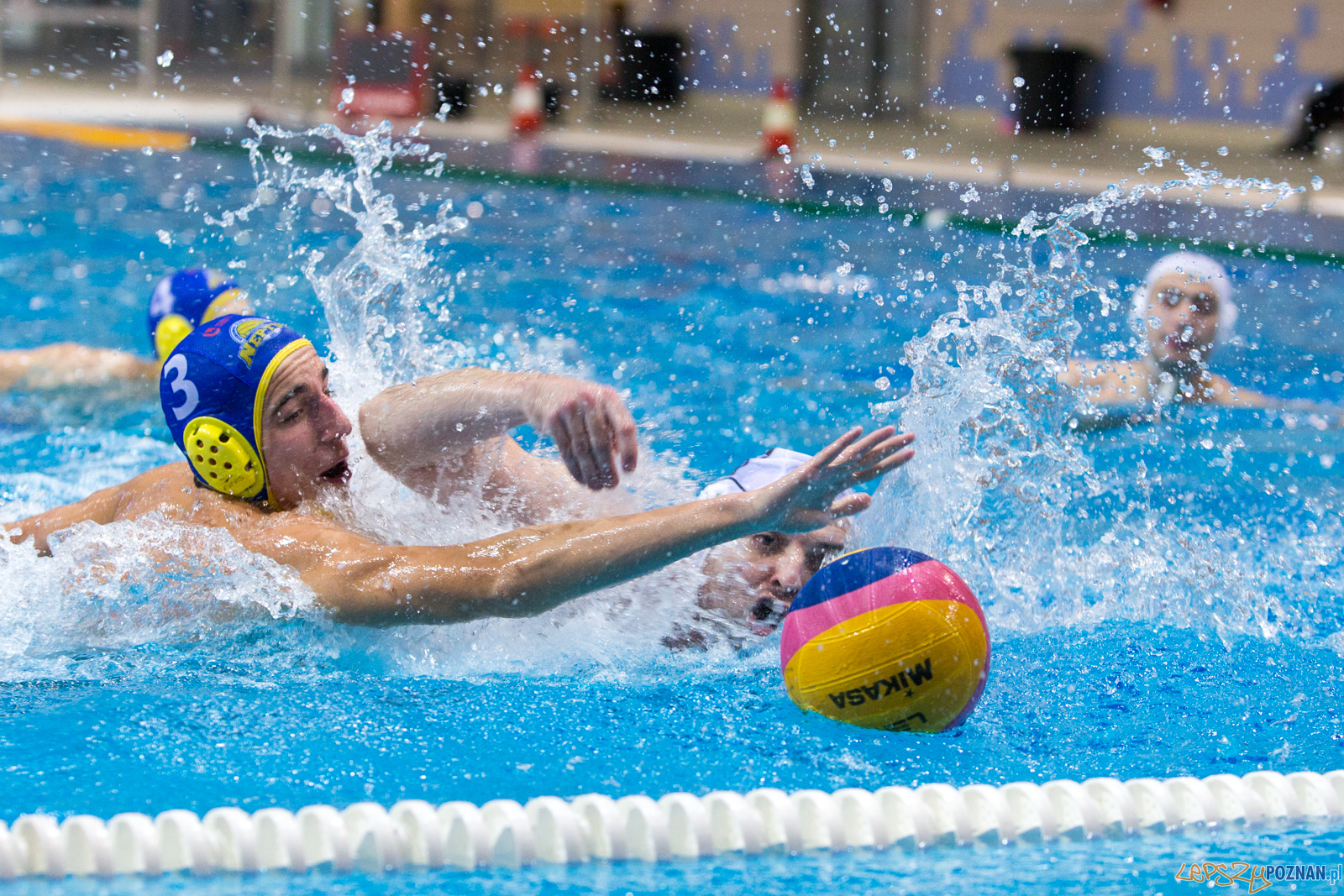 Waterpolo Poznań vs UKS Neptun Łódź Foto: lepszyPOZNAN.pl/Piotr Rychter Waterpolo Poznań vs UKS Neptun Łódź Foto: lepszyPOZNAN.pl/Piotr Rychter
