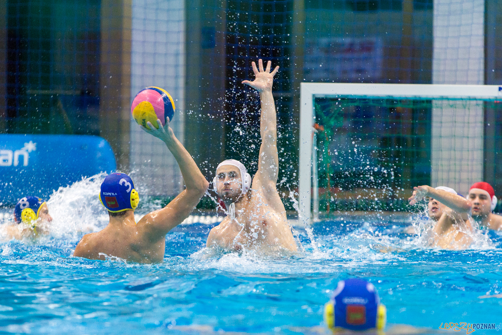 Waterpolo Poznań vs UKS Neptun Łódź Foto: lepszyPOZNAN.pl/Piotr Rychter Waterpolo Poznań vs UKS Neptun Łódź Foto: lepszyPOZNAN.pl/Piotr Rychter