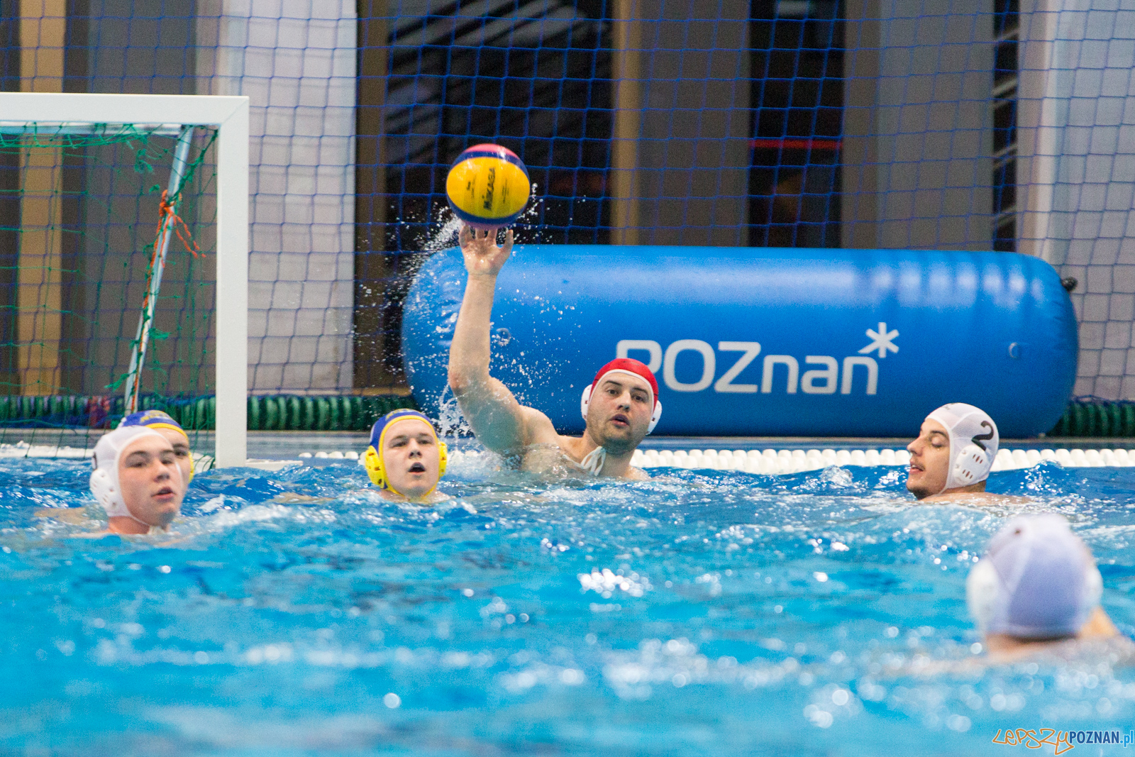 Waterpolo Poznań vs UKS Neptun Łódź Foto: lepszyPOZNAN.pl/Piotr Rychter Waterpolo Poznań vs UKS Neptun Łódź Foto: lepszyPOZNAN.pl/Piotr Rychter