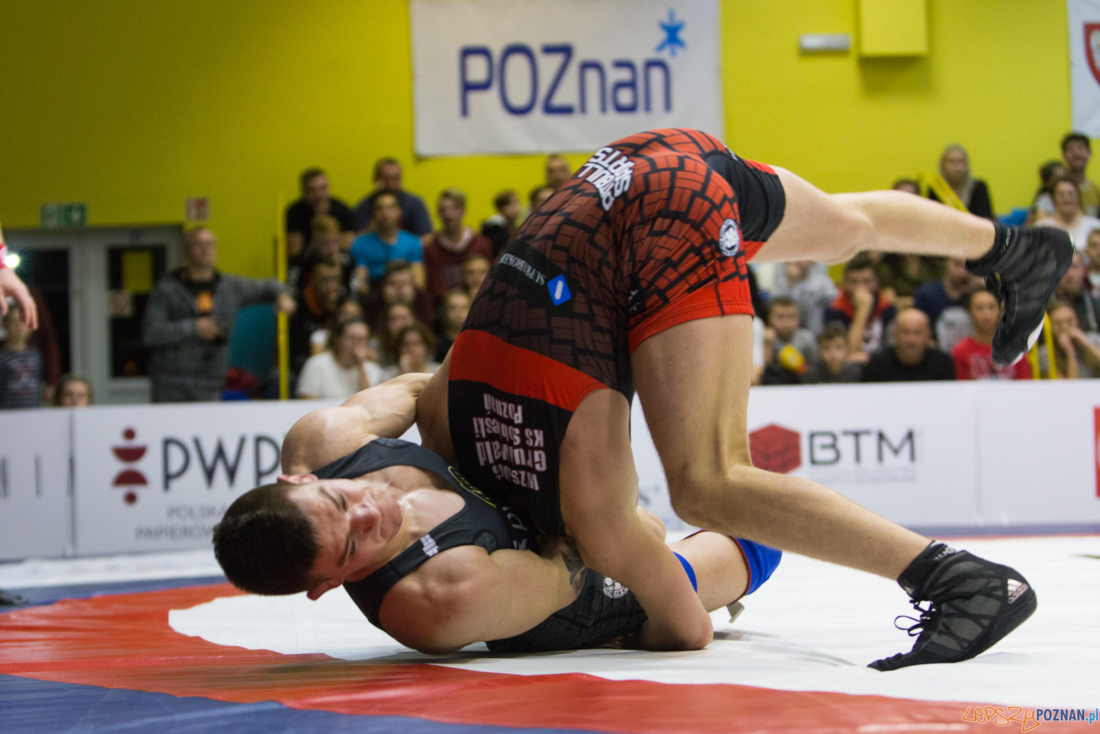 WZS WKS Grunwald -KS Sobieski Poznań - LOTTO Zapasy Bydgoszcz Foto: lepszyPOZNAN.pl/Piotr Rychter WZS WKS Grunwald -KS Sobieski Poznań - LOTTO Zapasy Bydgoszcz Foto: lepszyPOZNAN.pl/Piotr Rychter