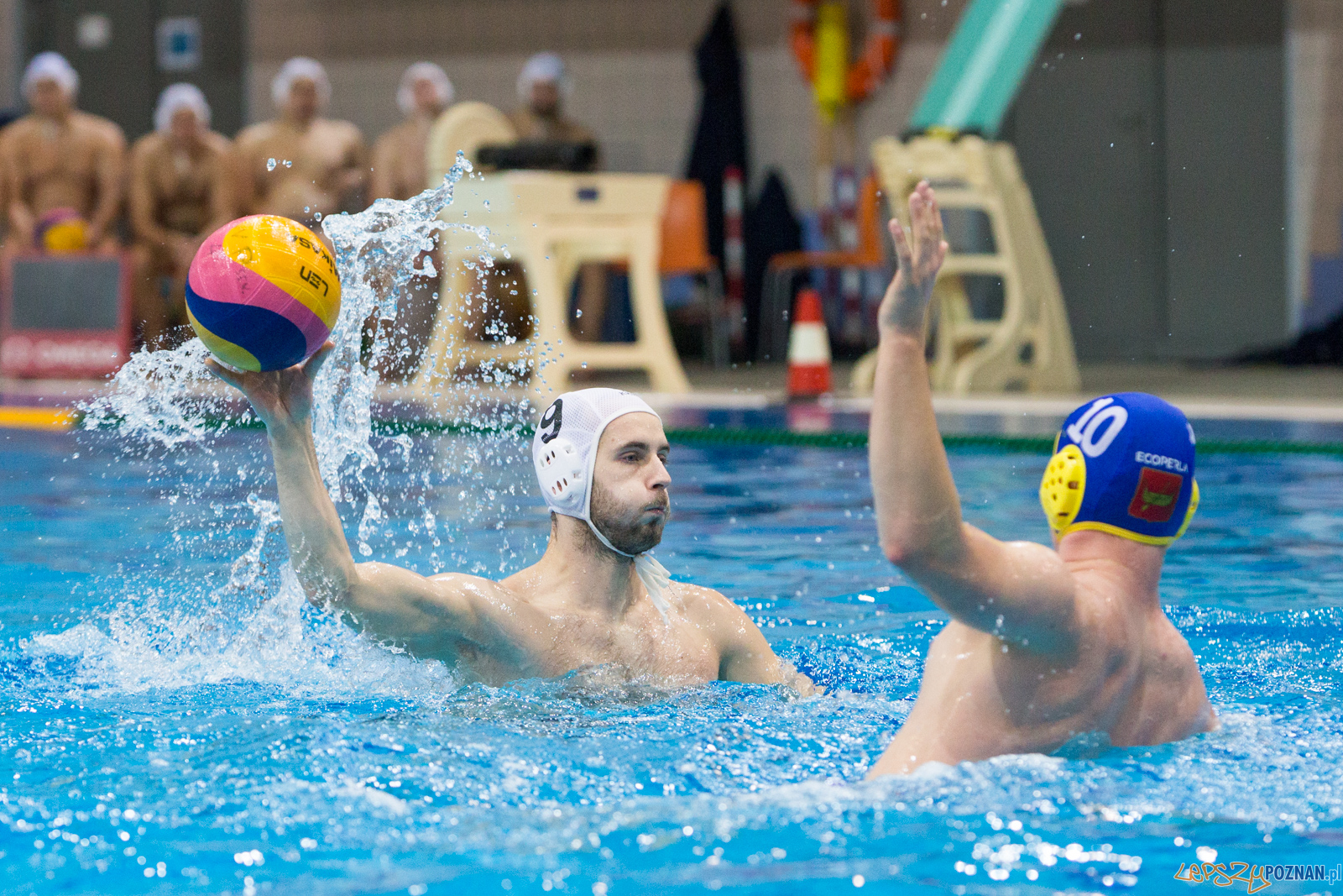 Waterpolo Poznań vs UKS Neptun Łódź Foto: lepszyPOZNAN.pl/Piotr Rychter Waterpolo Poznań vs UKS Neptun Łódź Foto: lepszyPOZNAN.pl/Piotr Rychter