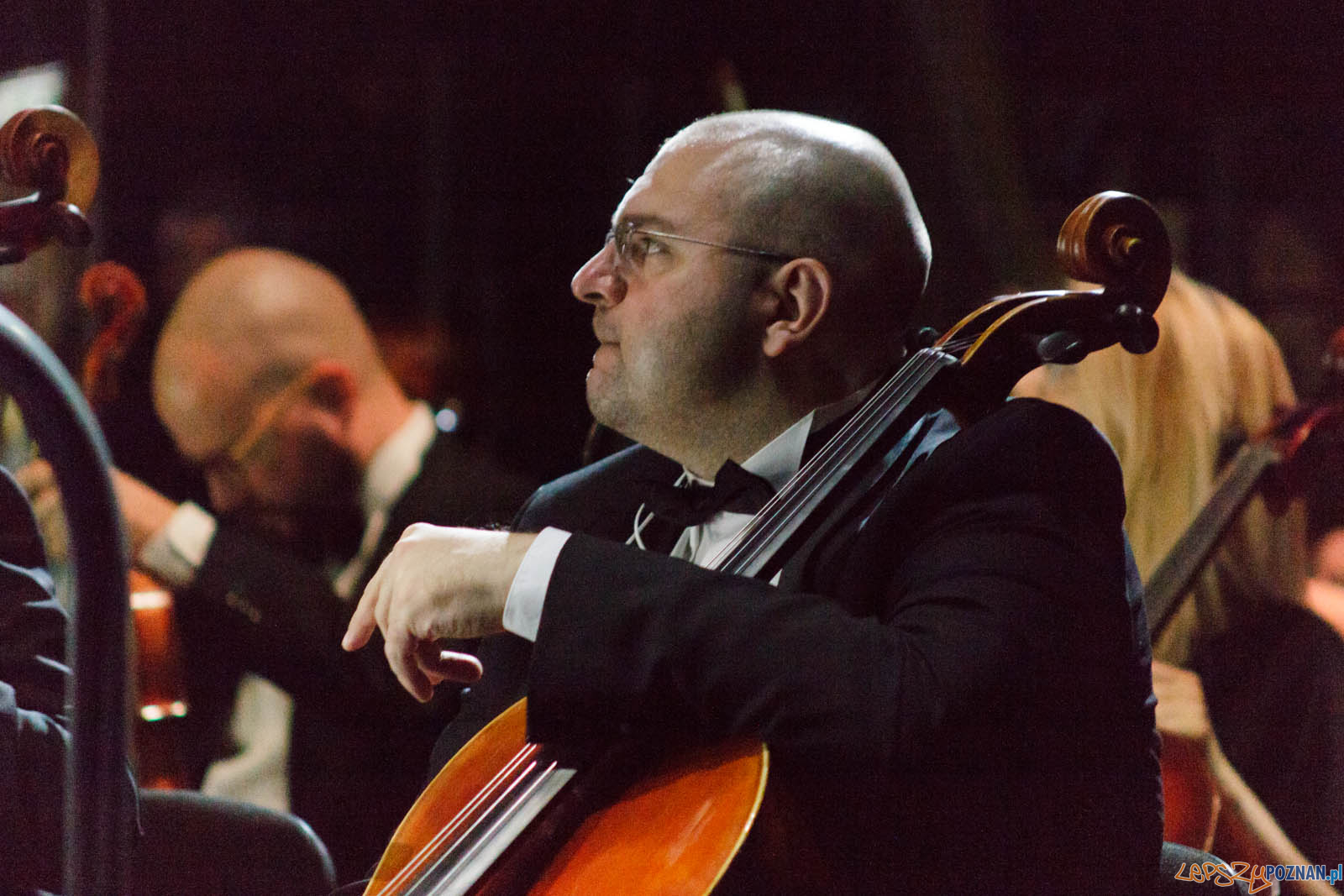 La La Land Foto: lepszyPOZNAN.pl / Ewelina Jaskowiak La La Land Foto: lepszyPOZNAN.pl / Ewelina Jaskowiak