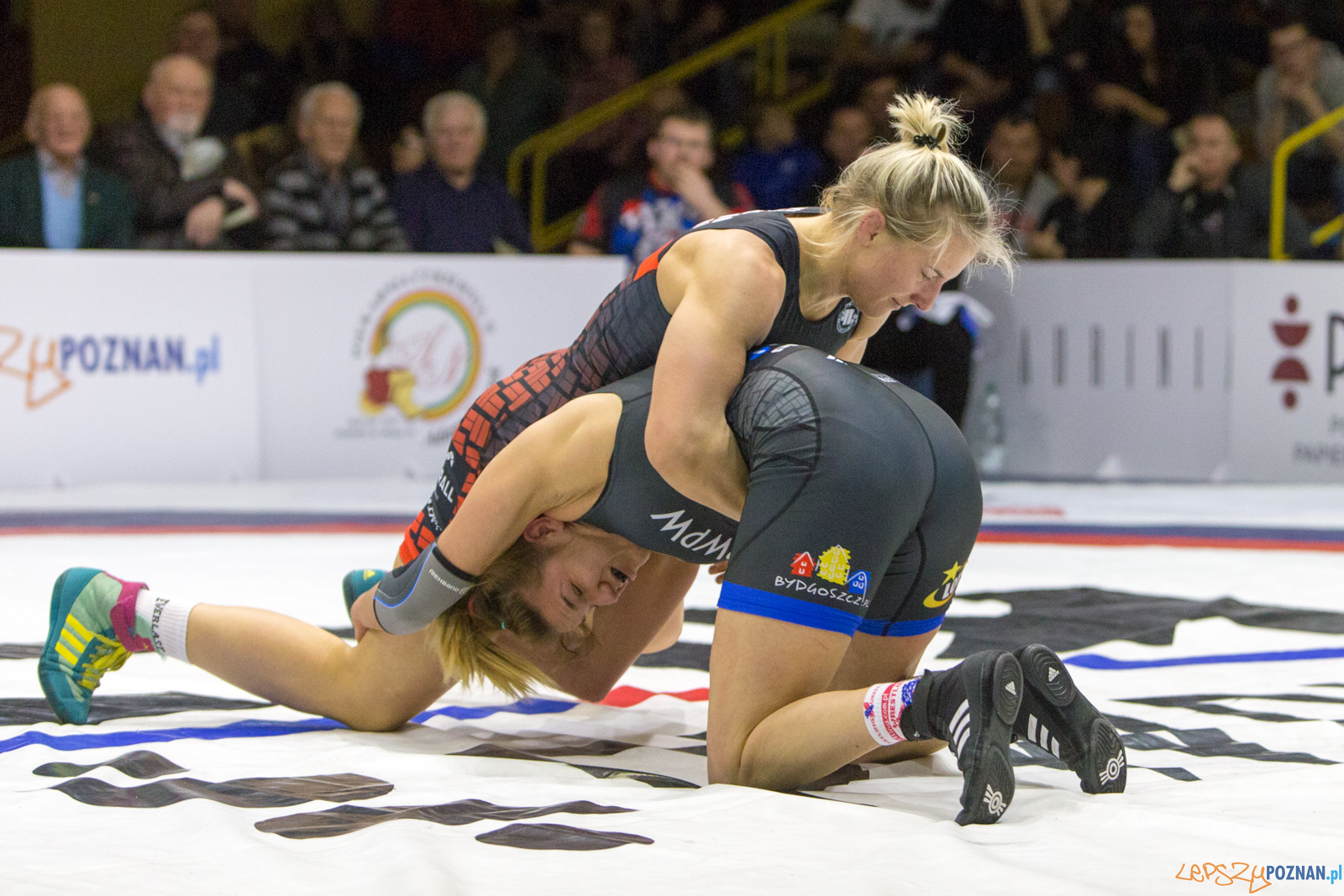 WZS WKS Grunwald -KS Sobieski Poznań - LOTTO Zapasy Bydgoszcz Foto: lepszyPOZNAN.pl/Piotr Rychter WZS WKS Grunwald -KS Sobieski Poznań - LOTTO Zapasy Bydgoszcz Foto: lepszyPOZNAN.pl/Piotr Rychter