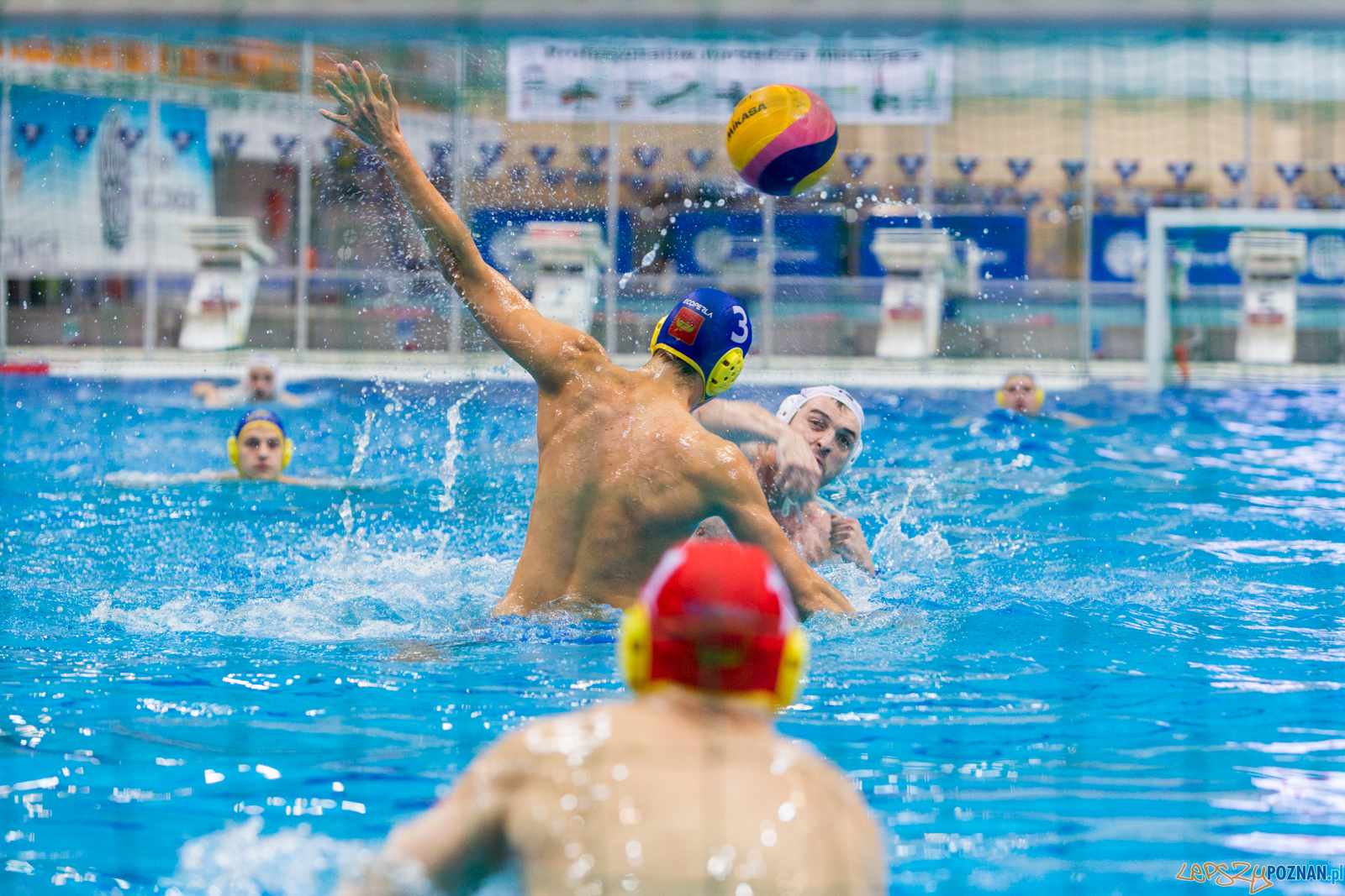 Waterpolo Poznań vs UKS Neptun Łódź Foto: lepszyPOZNAN.pl/Piotr Rychter Waterpolo Poznań vs UKS Neptun Łódź Foto: lepszyPOZNAN.pl/Piotr Rychter