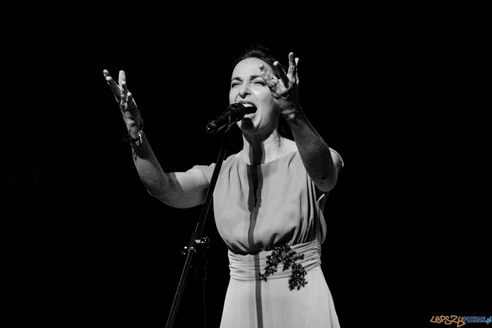 Frazy Festiwal słowa w piosence - śpiewamy Młynarskiego Foto: lepszyPOZNAN.pl / Ewelina Jaskowiak Frazy Festiwal słowa w piosence - śpiewamy Młynarskiego Foto: lepszyPOZNAN.pl / Ewelina Jaskowiak