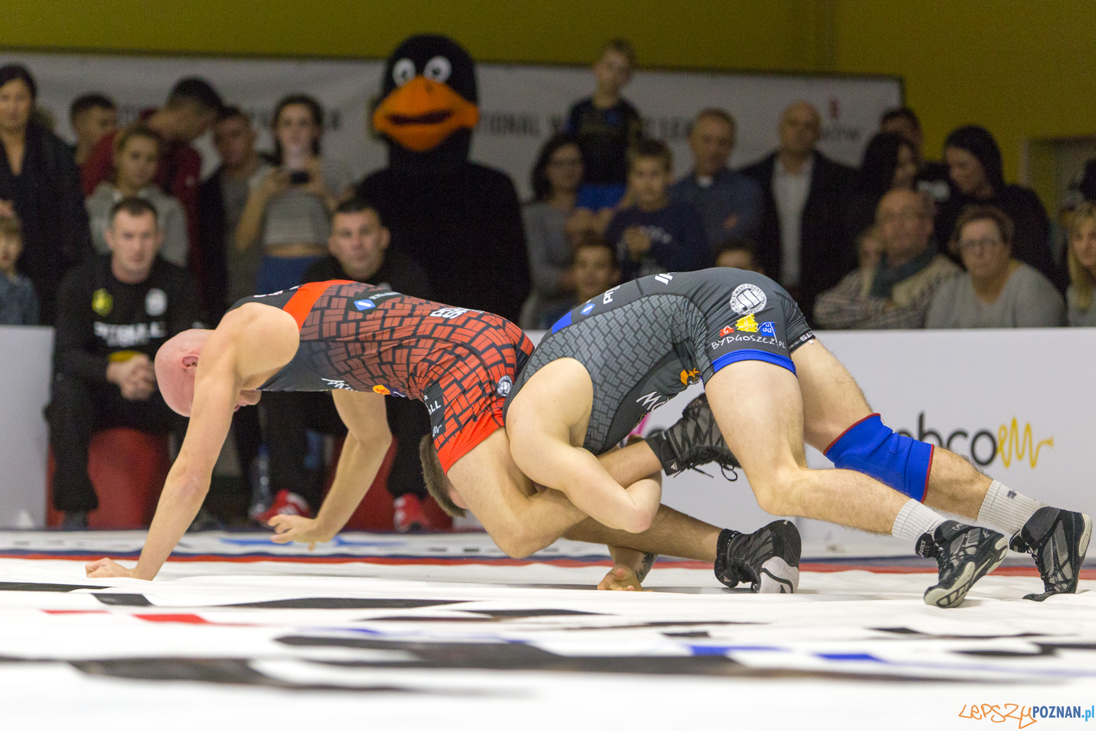 WZS WKS Grunwald -KS Sobieski Poznań - LOTTO Zapasy Bydgoszcz Foto: lepszyPOZNAN.pl/Piotr Rychter WZS WKS Grunwald -KS Sobieski Poznań - LOTTO Zapasy Bydgoszcz Foto: lepszyPOZNAN.pl/Piotr Rychter