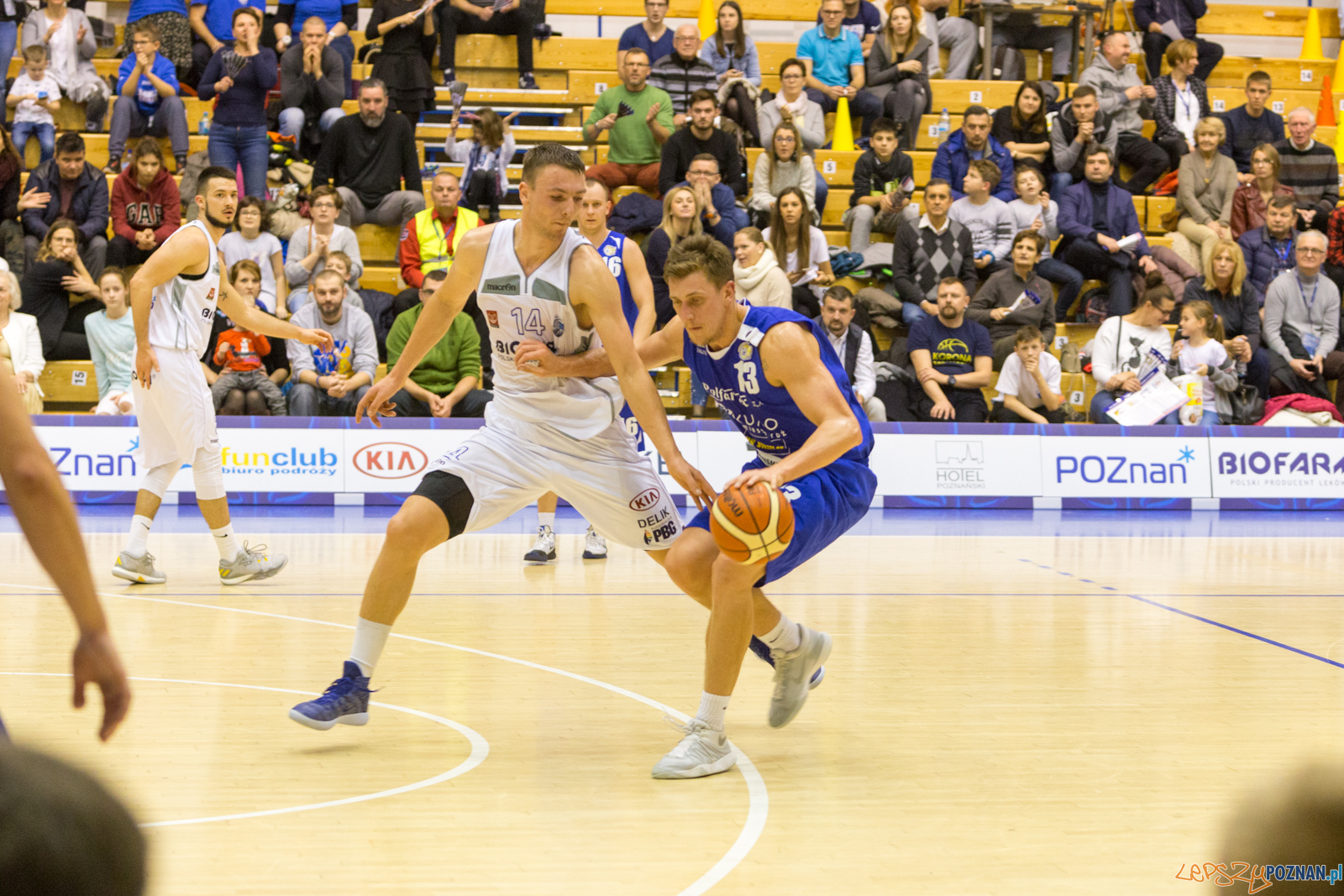 Biofarm Basket - Polfarmex Kutno Foto: lepszyPOZNAN.pl/Piotr Rychter Biofarm Basket - Polfarmex Kutno Foto: lepszyPOZNAN.pl/Piotr Rychter