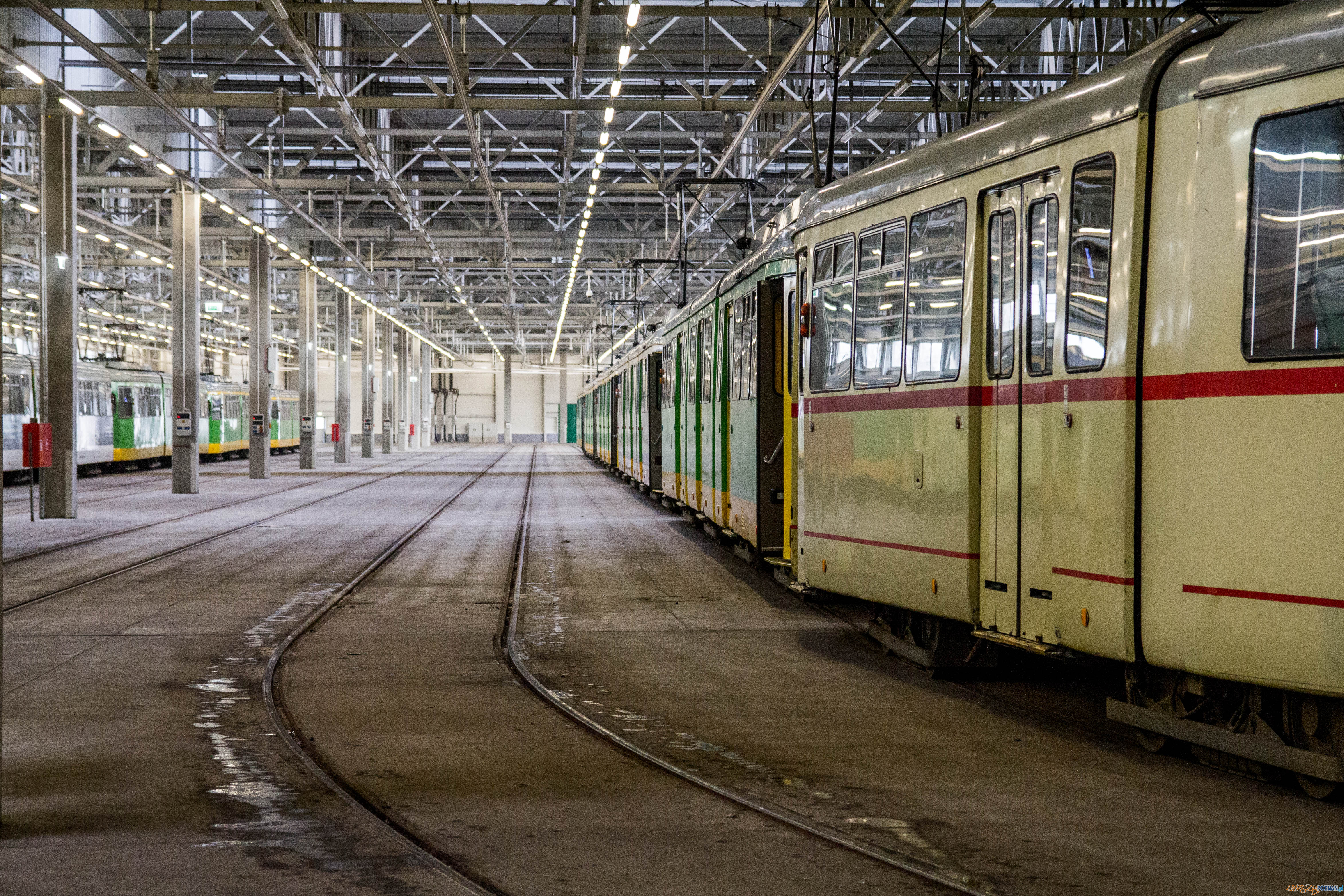 Katarzynki 2017 Foto: lepszyPOZNAN.pl / Ewelina Jaskowiak Katarzynki 2017 Foto: lepszyPOZNAN.pl / Ewelina Jaskowiak