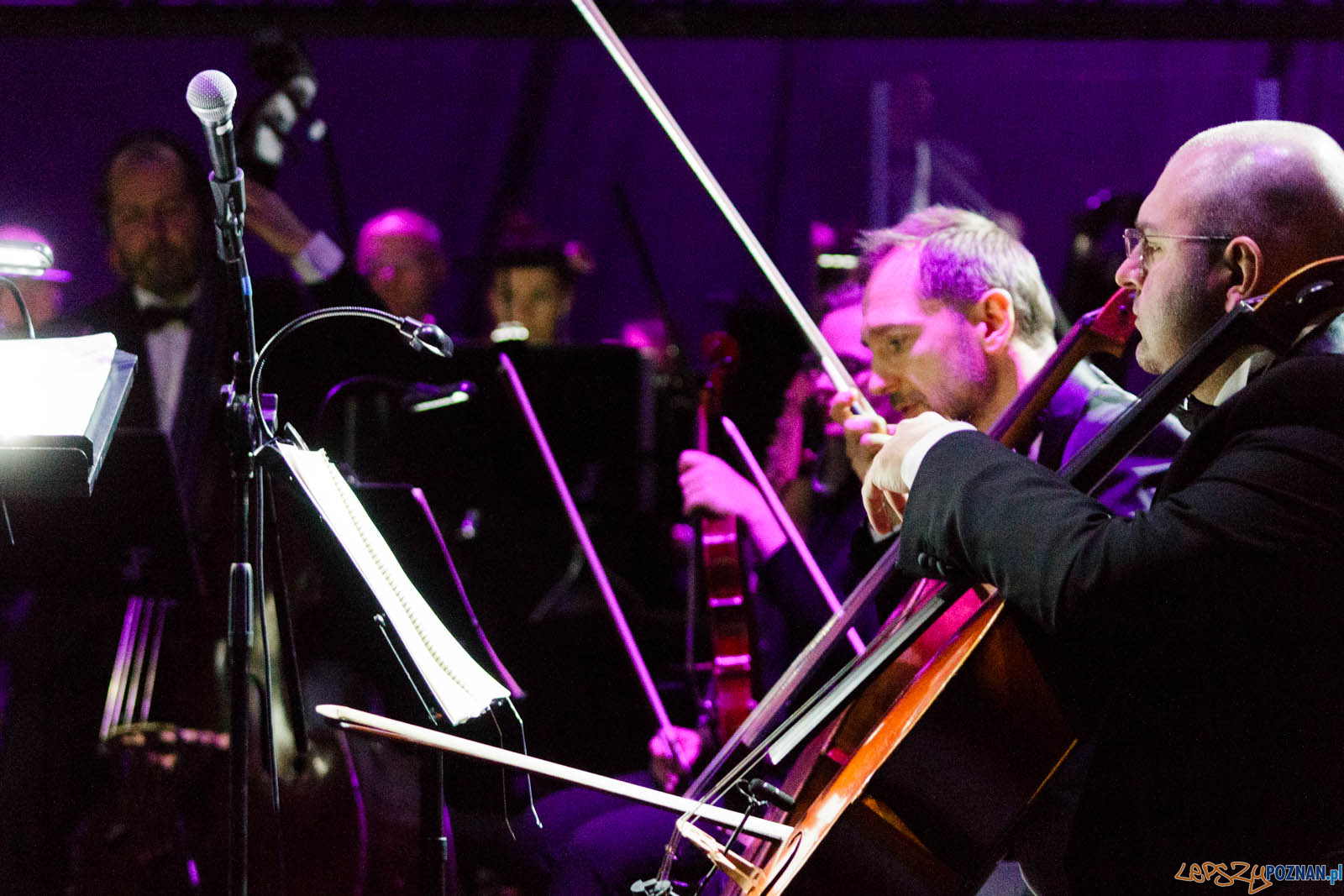 La La Land Foto: lepszyPOZNAN.pl / Ewelina Jaskowiak La La Land Foto: lepszyPOZNAN.pl / Ewelina Jaskowiak