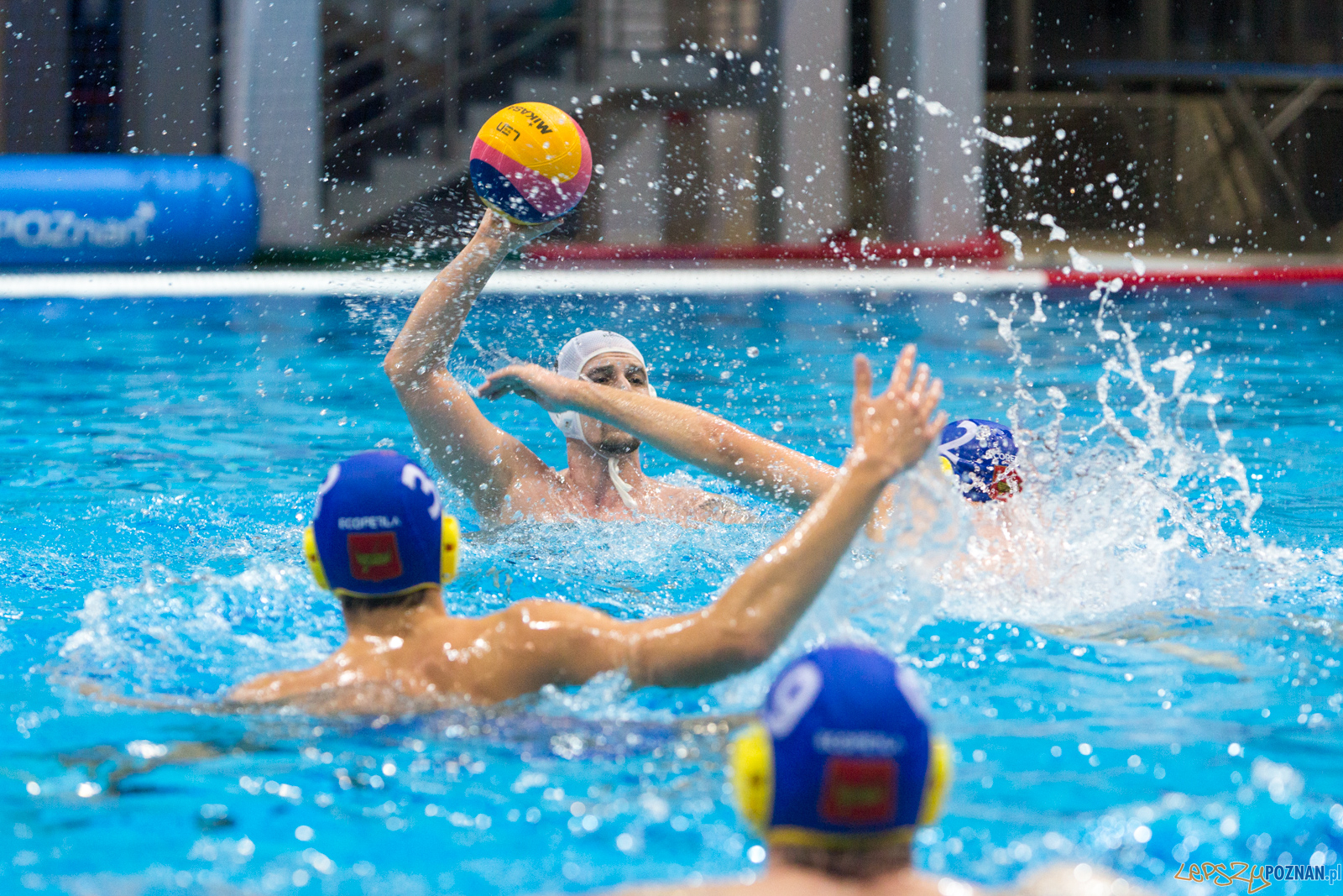 Waterpolo Poznań vs UKS Neptun Łódź Foto: lepszyPOZNAN.pl/Piotr Rychter Waterpolo Poznań vs UKS Neptun Łódź Foto: lepszyPOZNAN.pl/Piotr Rychter