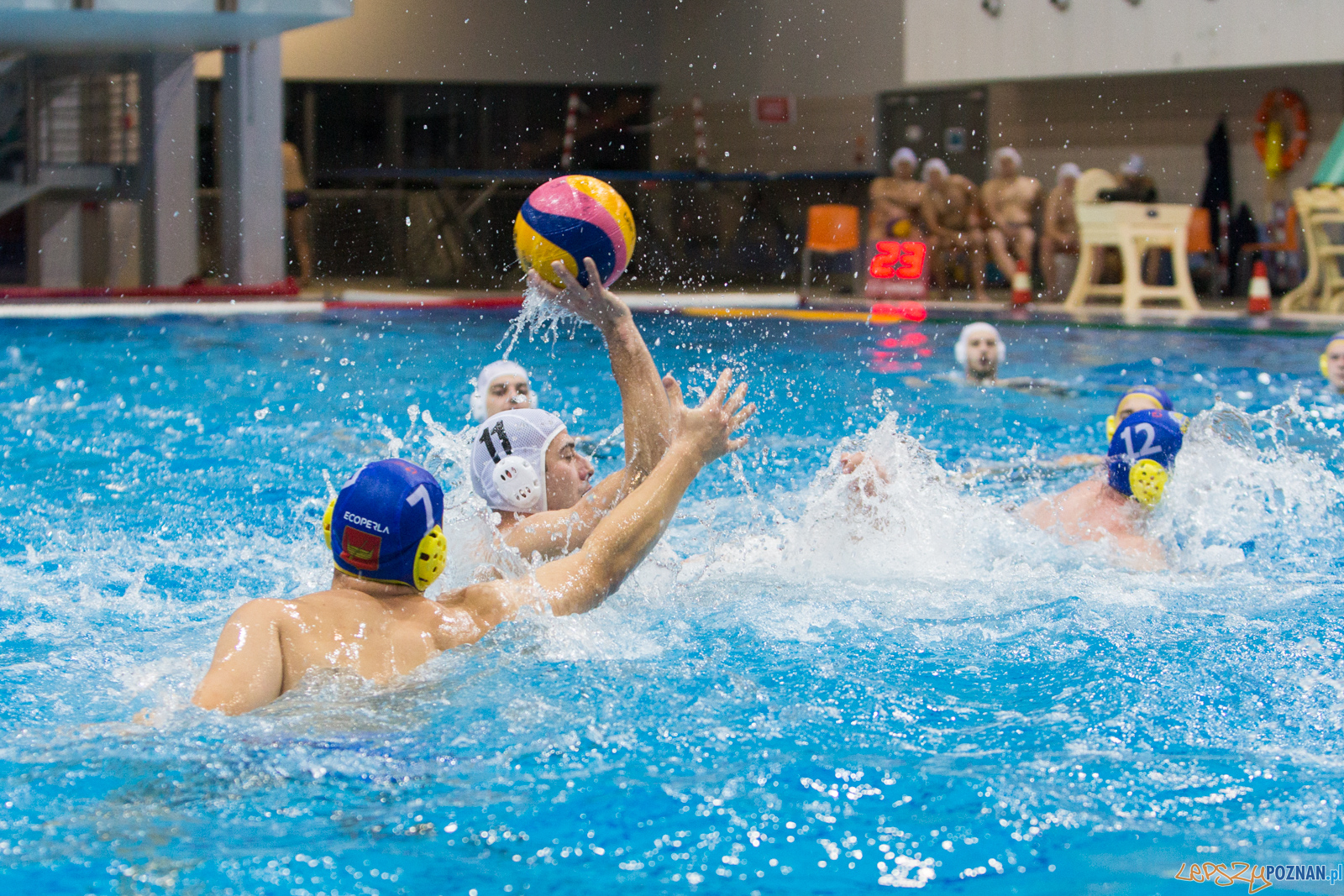 Waterpolo Poznań vs UKS Neptun Łódź Foto: lepszyPOZNAN.pl/Piotr Rychter Waterpolo Poznań vs UKS Neptun Łódź Foto: lepszyPOZNAN.pl/Piotr Rychter