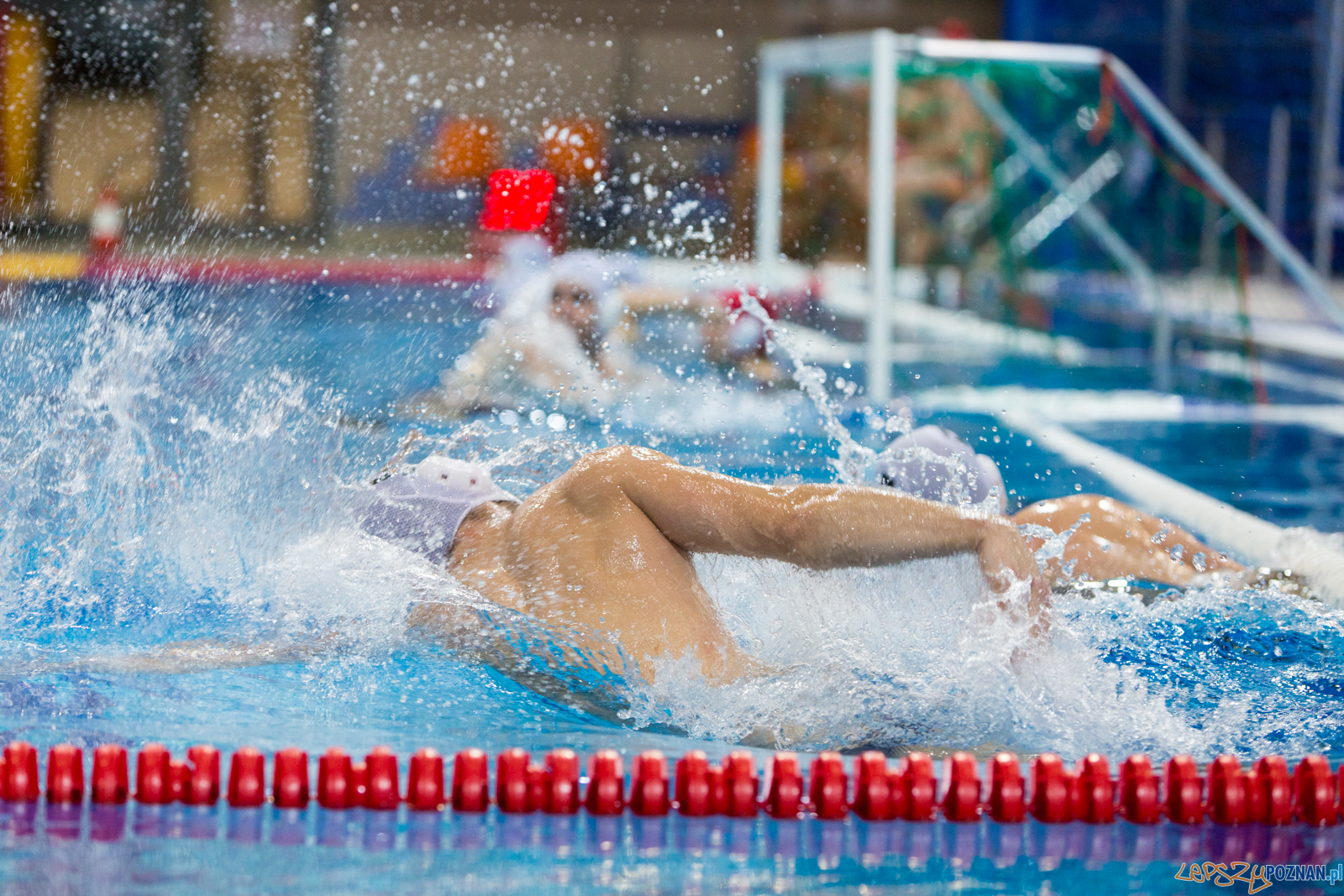 Waterpolo Poznań vs UKS Neptun Łódź Foto: lepszyPOZNAN.pl/Piotr Rychter Waterpolo Poznań vs UKS Neptun Łódź Foto: lepszyPOZNAN.pl/Piotr Rychter