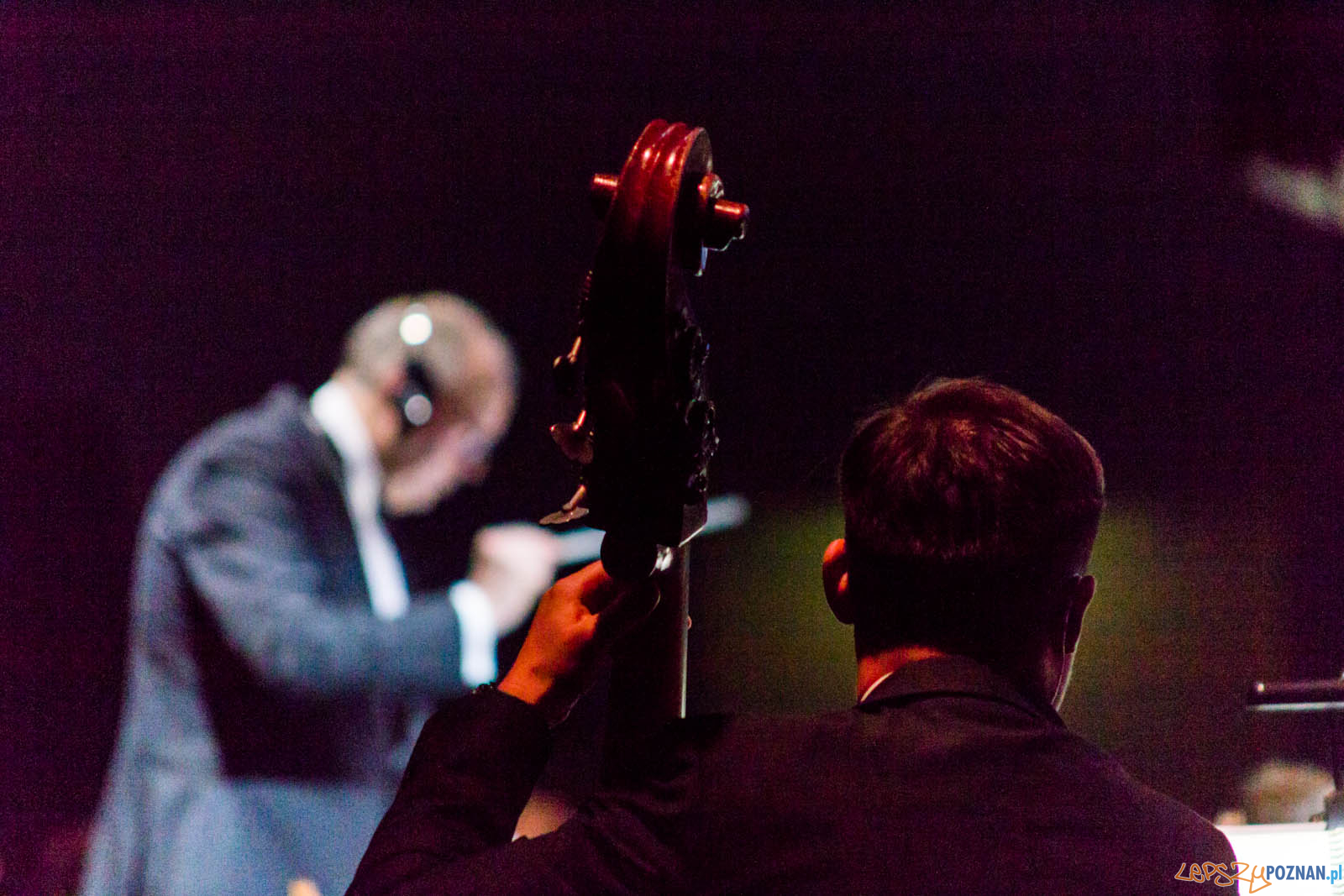 La La Land Foto: lepszyPOZNAN.pl / Ewelina Jaskowiak La La Land Foto: lepszyPOZNAN.pl / Ewelina Jaskowiak