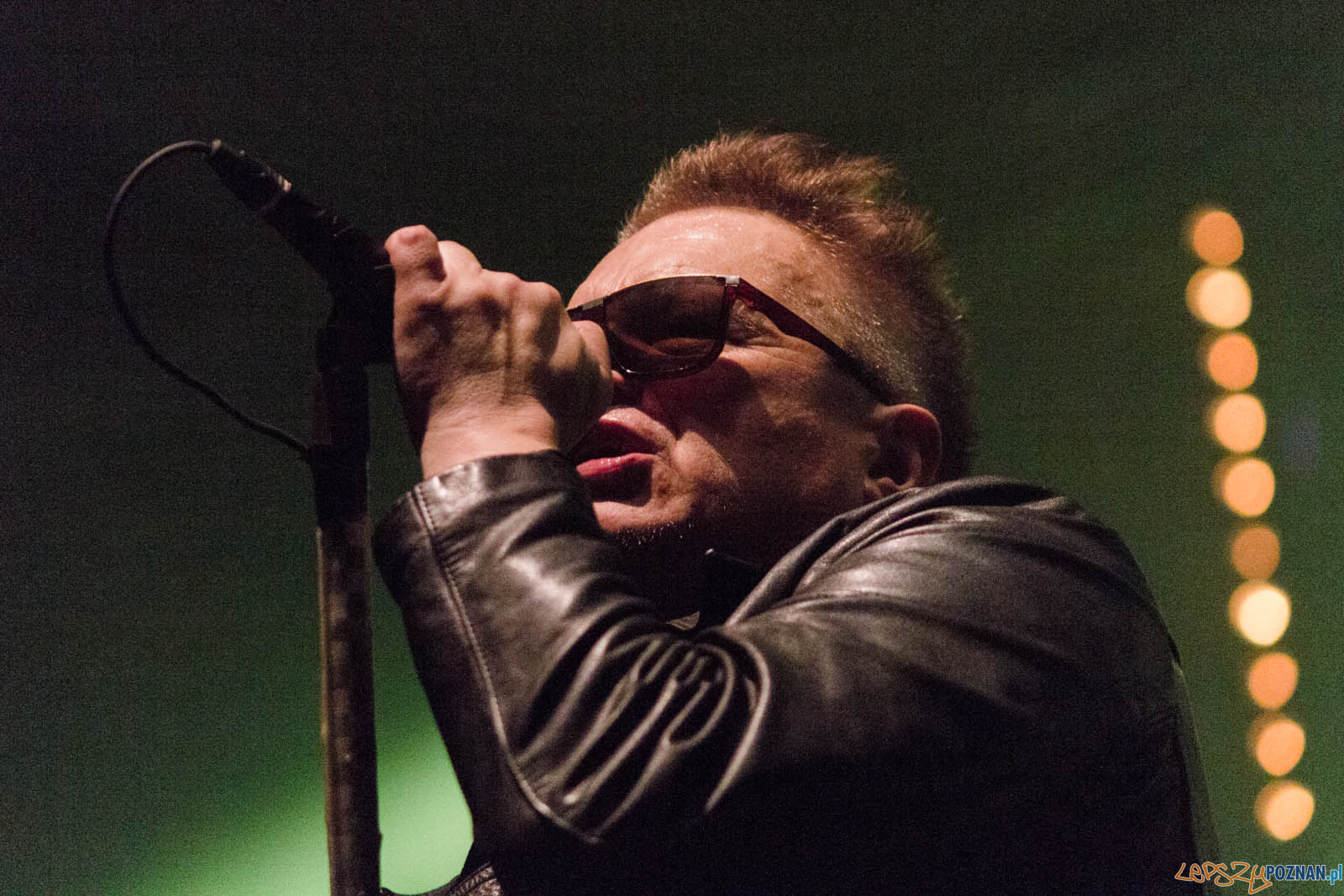 LP-8283 Foto: lepszyPOZNAN.pl / Ewelina Jaskowiak LP-8283 Foto: lepszyPOZNAN.pl / Ewelina Jaskowiak