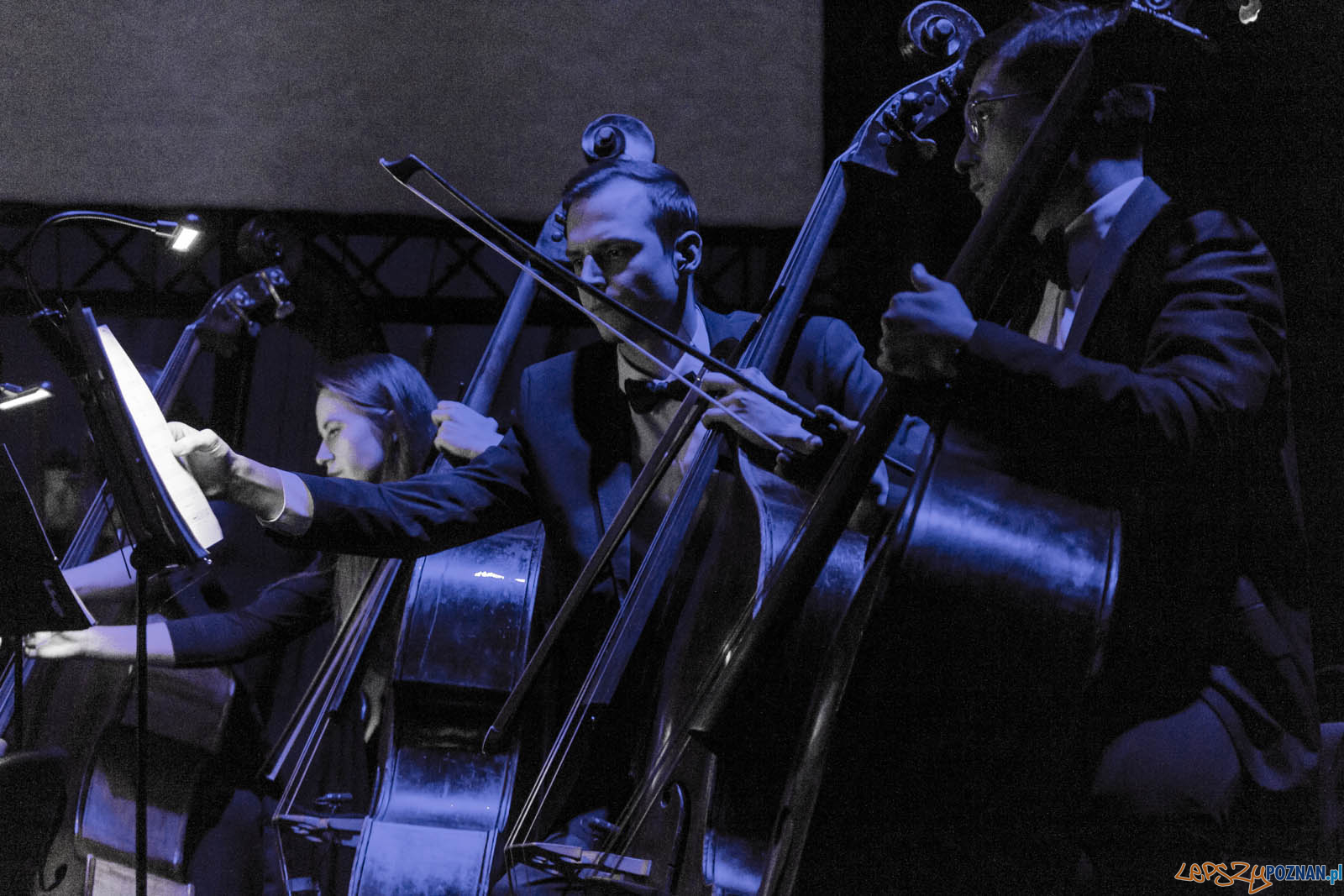 La La Land Foto: lepszyPOZNAN.pl / Ewelina Jaskowiak La La Land Foto: lepszyPOZNAN.pl / Ewelina Jaskowiak