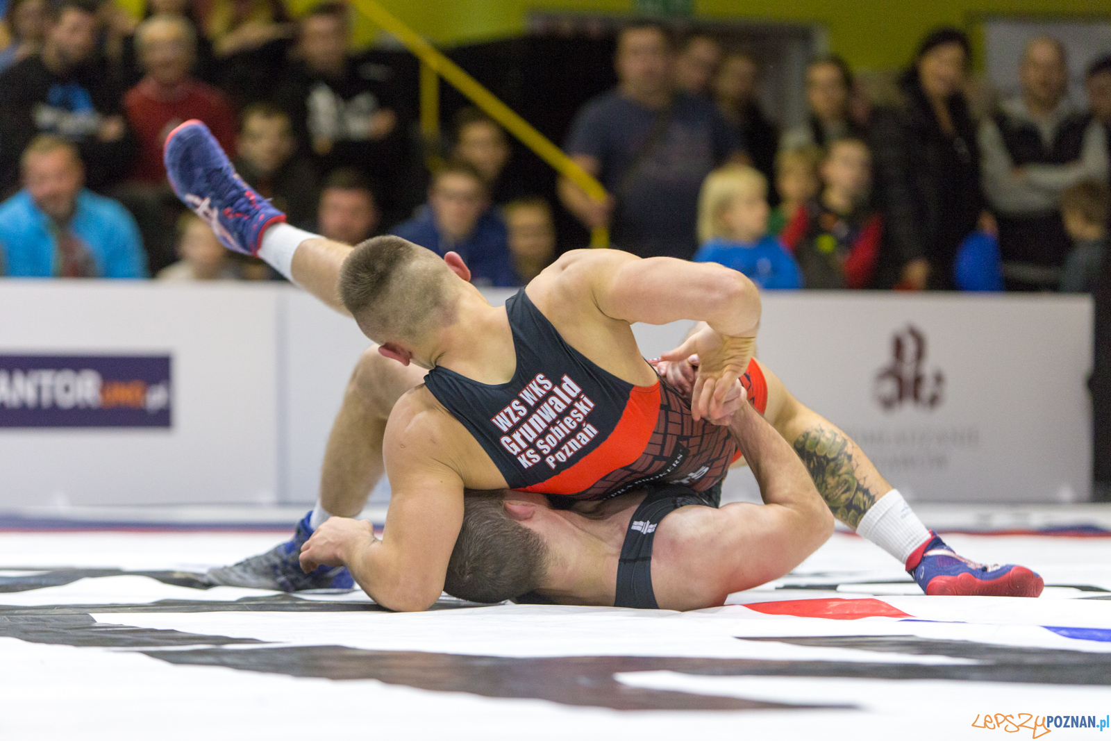 WZS WKS Grunwald -KS Sobieski Poznań - LOTTO Zapasy Bydgoszcz Foto: lepszyPOZNAN.pl/Piotr Rychter WZS WKS Grunwald -KS Sobieski Poznań - LOTTO Zapasy Bydgoszcz Foto: lepszyPOZNAN.pl/Piotr Rychter