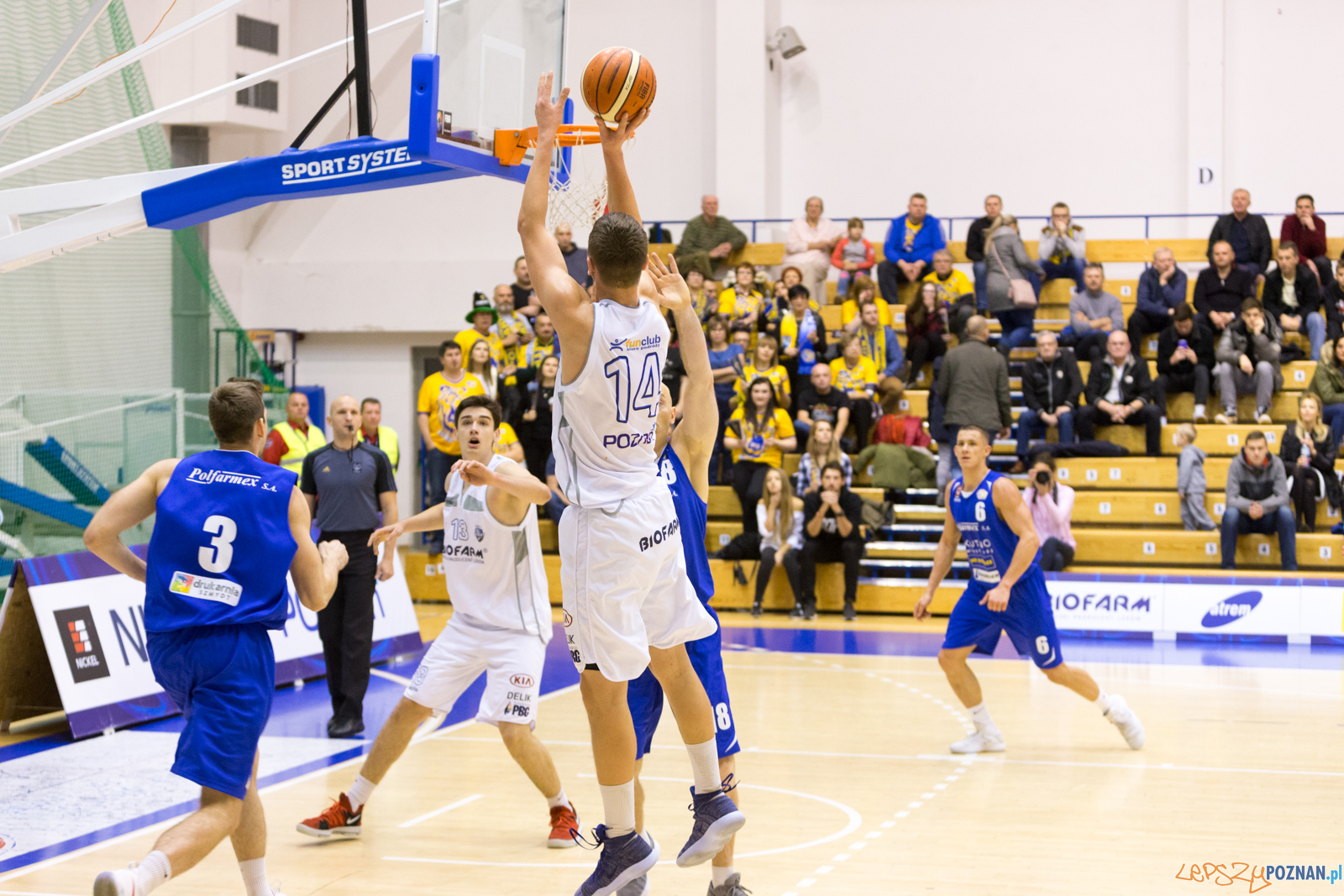 Biofarm Basket - Polfarmex Kutno Foto: lepszyPOZNAN.pl/Piotr Rychter Biofarm Basket - Polfarmex Kutno Foto: lepszyPOZNAN.pl/Piotr Rychter