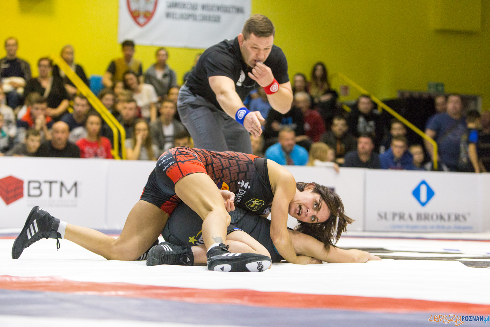 WZS WKS Grunwald -KS Sobieski Poznań - LOTTO Zapasy Bydgoszcz Foto: lepszyPOZNAN.pl/Piotr Rychter WZS WKS Grunwald -KS Sobieski Poznań - LOTTO Zapasy Bydgoszcz Foto: lepszyPOZNAN.pl/Piotr Rychter