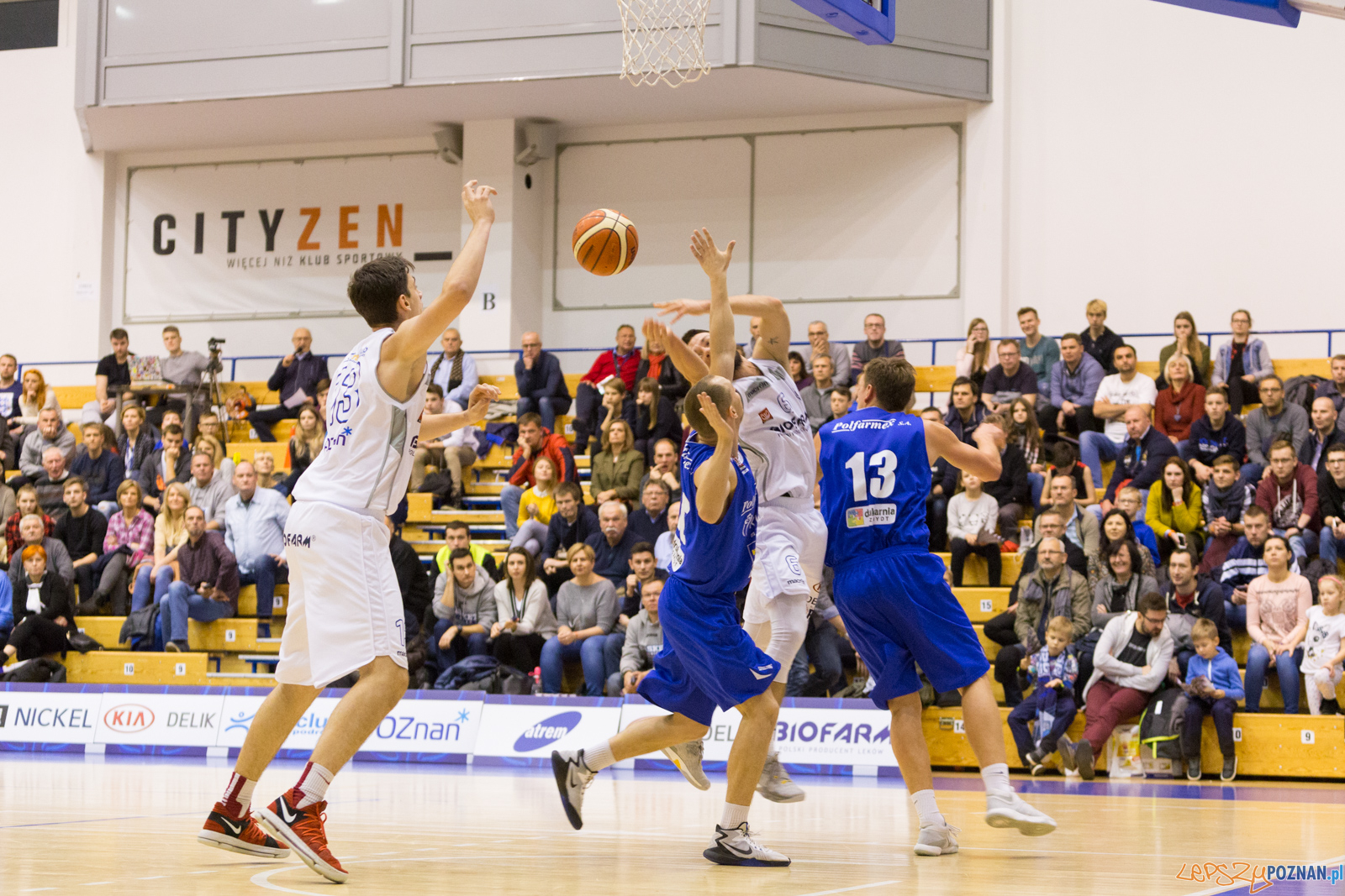 Biofarm Basket - Polfarmex Kutno Foto: lepszyPOZNAN.pl/Piotr Rychter Biofarm Basket - Polfarmex Kutno Foto: lepszyPOZNAN.pl/Piotr Rychter