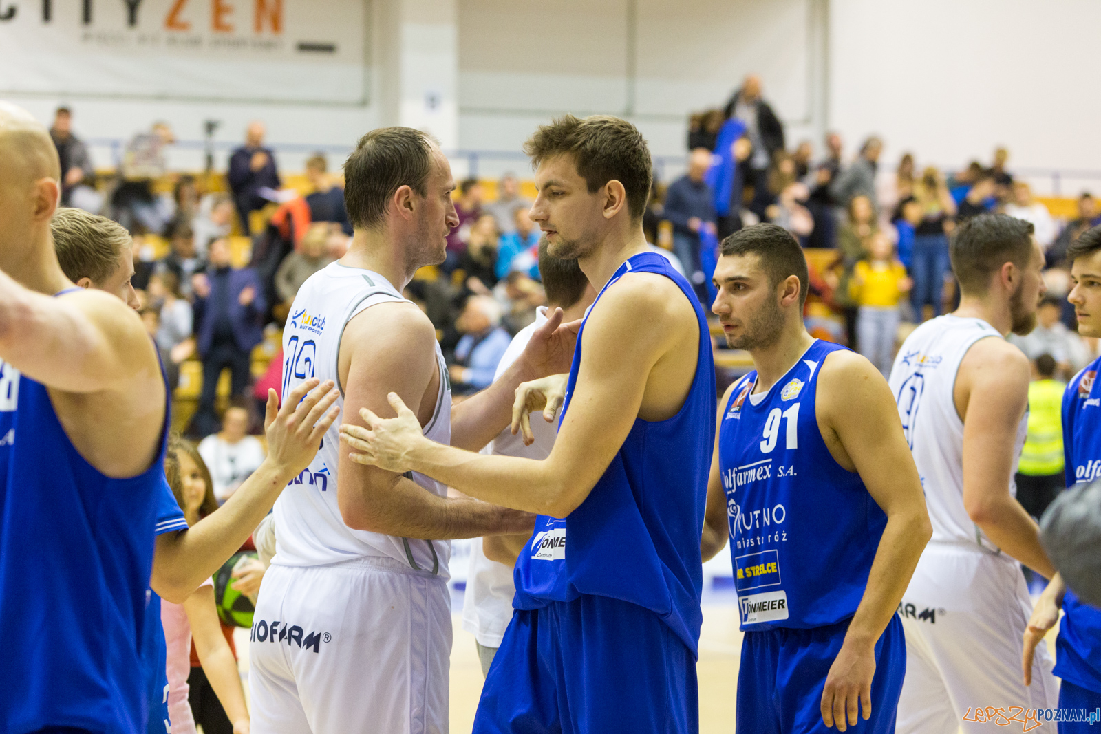 Biofarm Basket - Polfarmex Kutno Foto: lepszyPOZNAN.pl/Piotr Rychter Biofarm Basket - Polfarmex Kutno Foto: lepszyPOZNAN.pl/Piotr Rychter