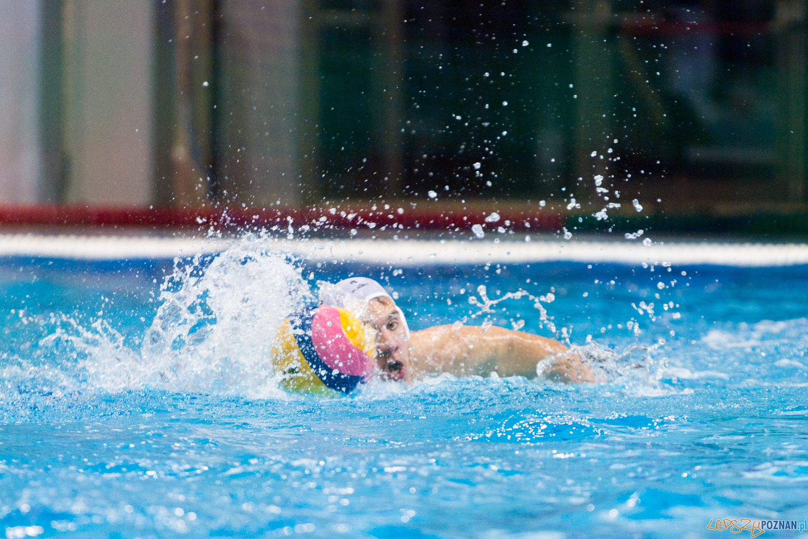 Waterpolo Poznań vs UKS Neptun Łódź Foto: lepszyPOZNAN.pl/Piotr Rychter Waterpolo Poznań vs UKS Neptun Łódź Foto: lepszyPOZNAN.pl/Piotr Rychter