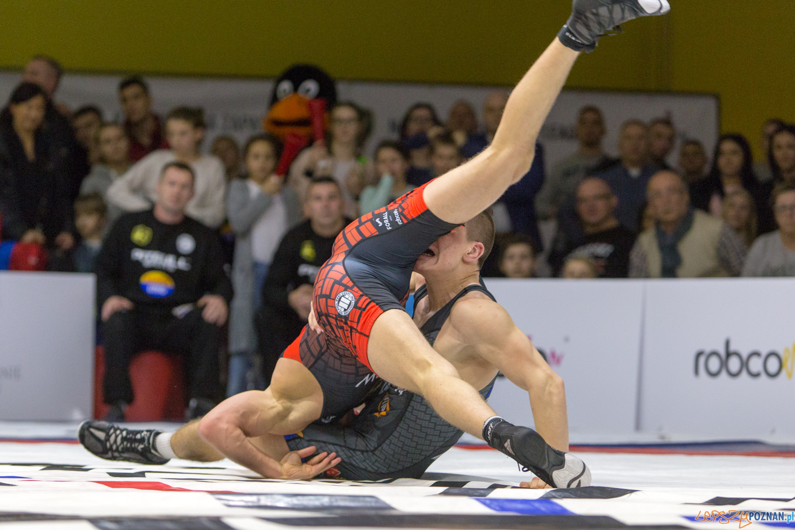 WZS WKS Grunwald -KS Sobieski Poznań - LOTTO Zapasy Bydgoszcz Foto: lepszyPOZNAN.pl/Piotr Rychter WZS WKS Grunwald -KS Sobieski Poznań - LOTTO Zapasy Bydgoszcz Foto: lepszyPOZNAN.pl/Piotr Rychter