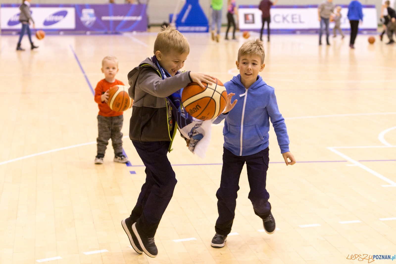 Biofarm Basket - Polfarmex Kutno Foto: lepszyPOZNAN.pl/Piotr Rychter Biofarm Basket - Polfarmex Kutno Foto: lepszyPOZNAN.pl/Piotr Rychter