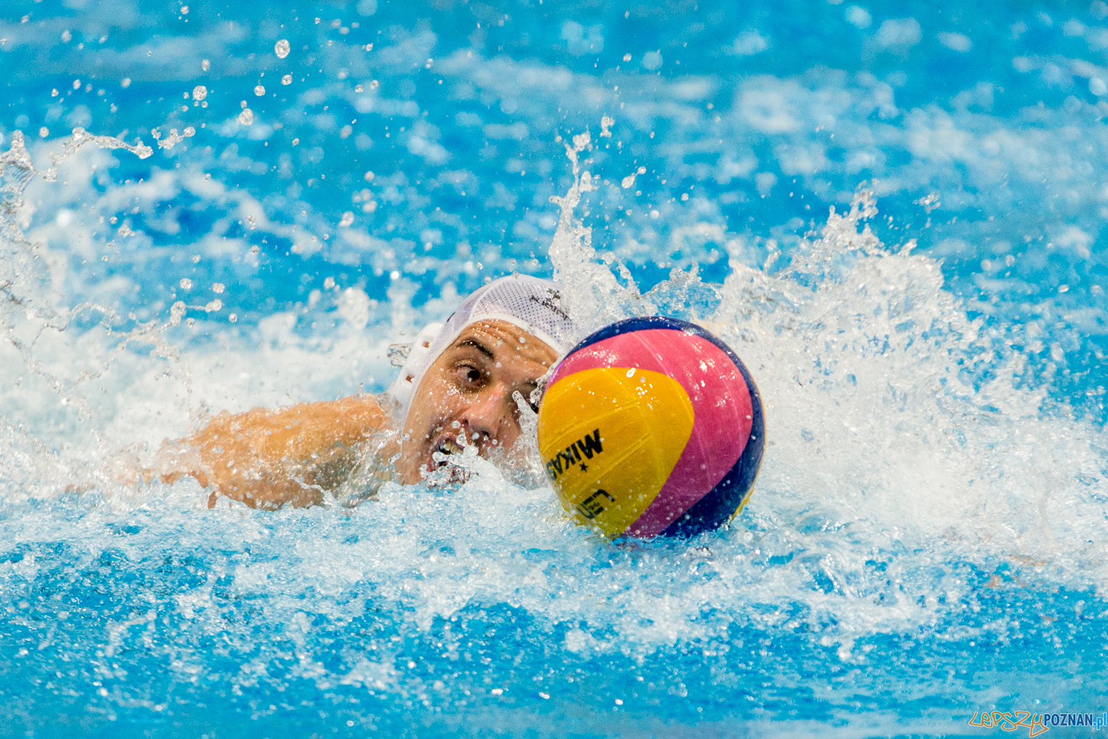 Waterpolo Poznań vs UKS Neptun Łódź Foto: lepszyPOZNAN.pl/Piotr Rychter Waterpolo Poznań vs UKS Neptun Łódź Foto: lepszyPOZNAN.pl/Piotr Rychter