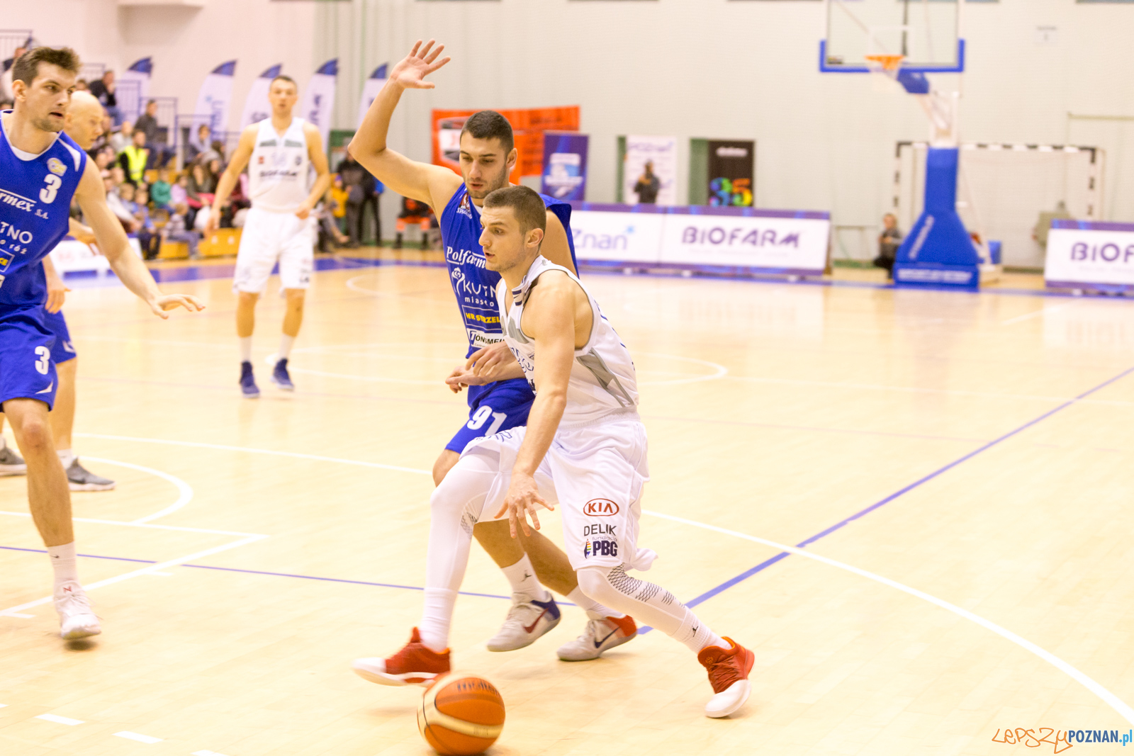 Biofarm Basket - Polfarmex Kutno Foto: lepszyPOZNAN.pl/Piotr Rychter Biofarm Basket - Polfarmex Kutno Foto: lepszyPOZNAN.pl/Piotr Rychter