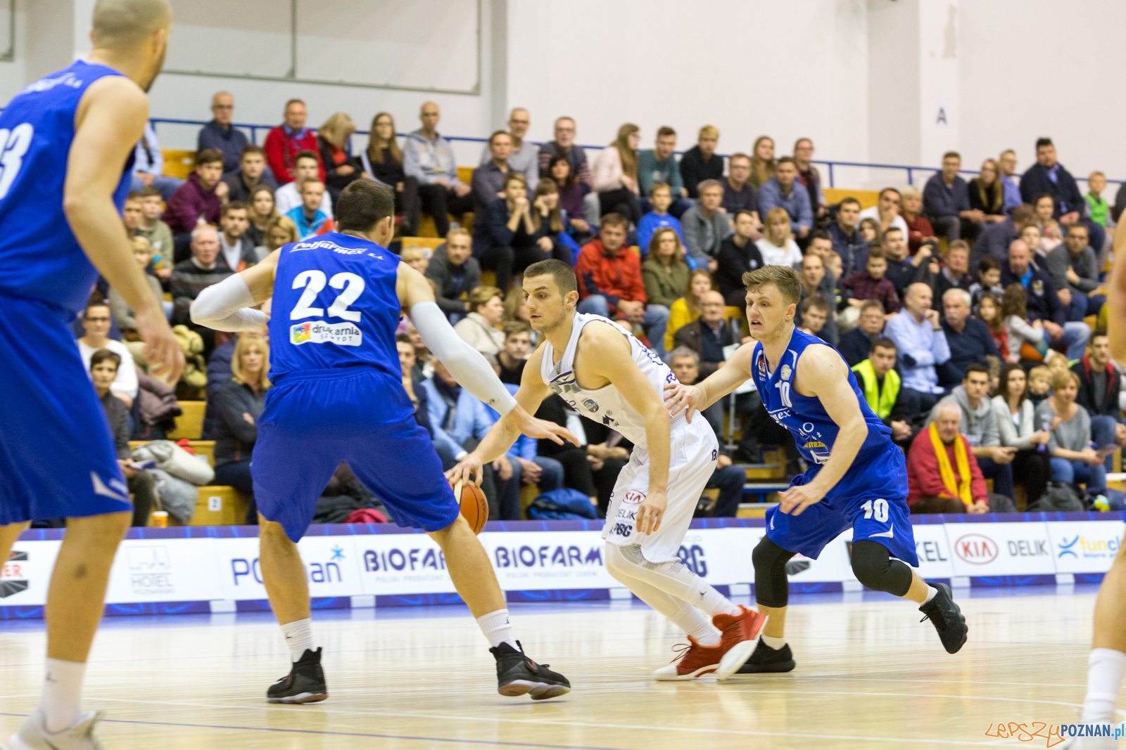 Biofarm Basket - Polfarmex Kutno Foto: lepszyPOZNAN.pl/Piotr Rychter Biofarm Basket - Polfarmex Kutno Foto: lepszyPOZNAN.pl/Piotr Rychter