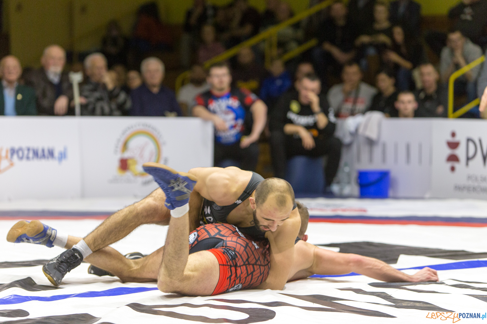 WZS WKS Grunwald -KS Sobieski Poznań - LOTTO Zapasy Bydgoszcz Foto: lepszyPOZNAN.pl/Piotr Rychter WZS WKS Grunwald -KS Sobieski Poznań - LOTTO Zapasy Bydgoszcz Foto: lepszyPOZNAN.pl/Piotr Rychter