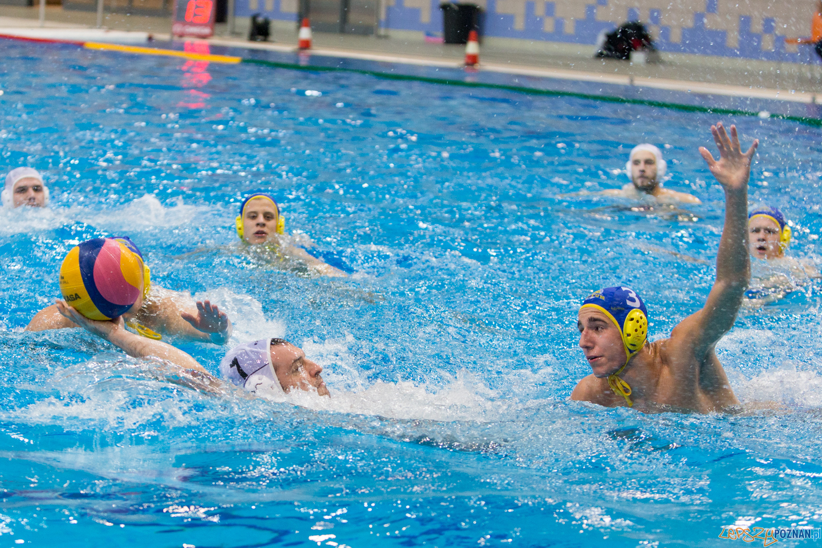 Waterpolo Poznań vs UKS Neptun Łódź Foto: lepszyPOZNAN.pl/Piotr Rychter Waterpolo Poznań vs UKS Neptun Łódź Foto: lepszyPOZNAN.pl/Piotr Rychter