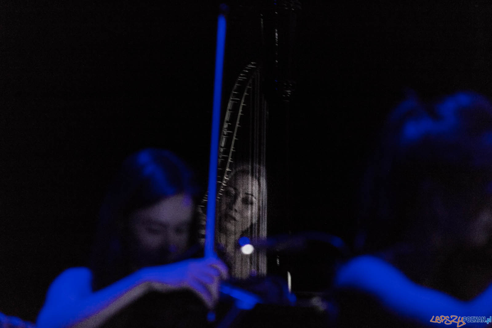 La La Land Foto: lepszyPOZNAN.pl / Ewelina Jaskowiak La La Land Foto: lepszyPOZNAN.pl / Ewelina Jaskowiak