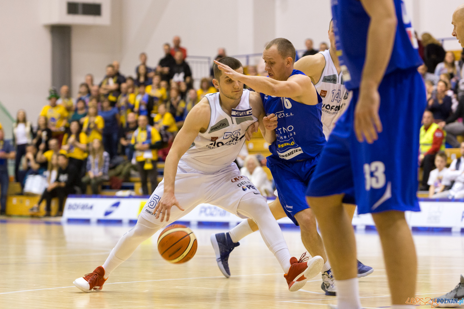 Biofarm Basket - Polfarmex Kutno Foto: lepszyPOZNAN.pl/Piotr Rychter Biofarm Basket - Polfarmex Kutno Foto: lepszyPOZNAN.pl/Piotr Rychter