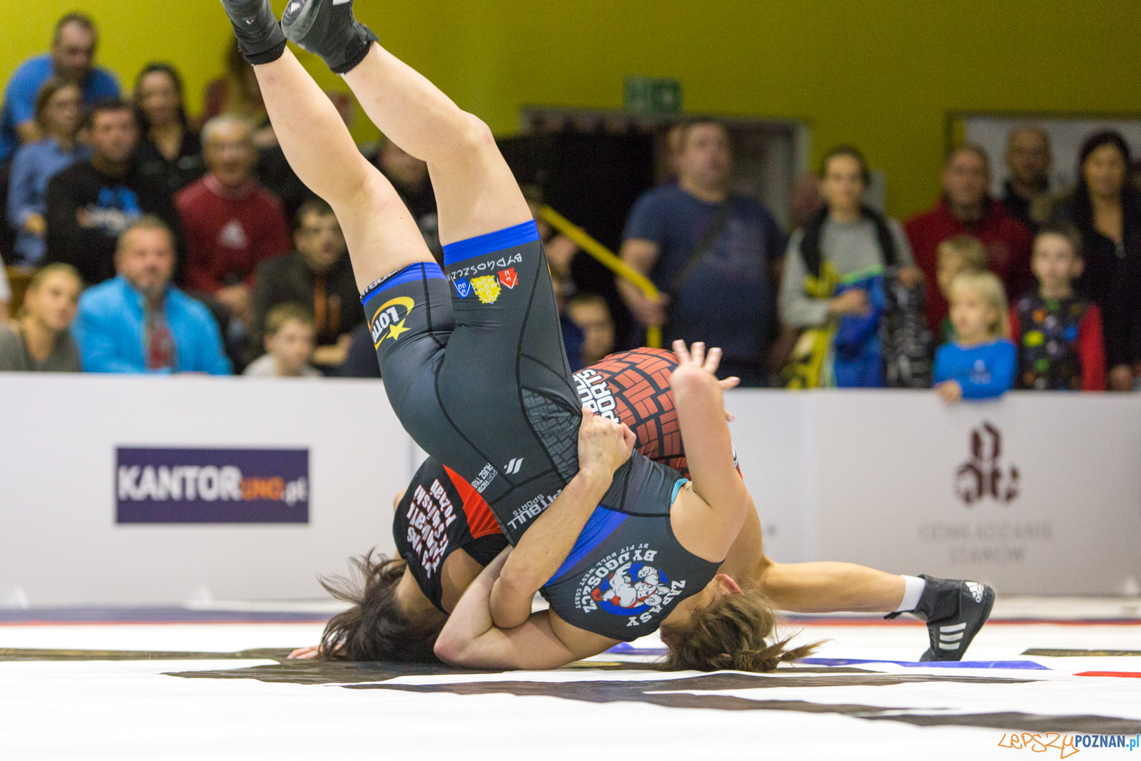 WZS WKS Grunwald -KS Sobieski Poznań - LOTTO Zapasy Bydgoszcz Foto: lepszyPOZNAN.pl/Piotr Rychter WZS WKS Grunwald -KS Sobieski Poznań - LOTTO Zapasy Bydgoszcz Foto: lepszyPOZNAN.pl/Piotr Rychter