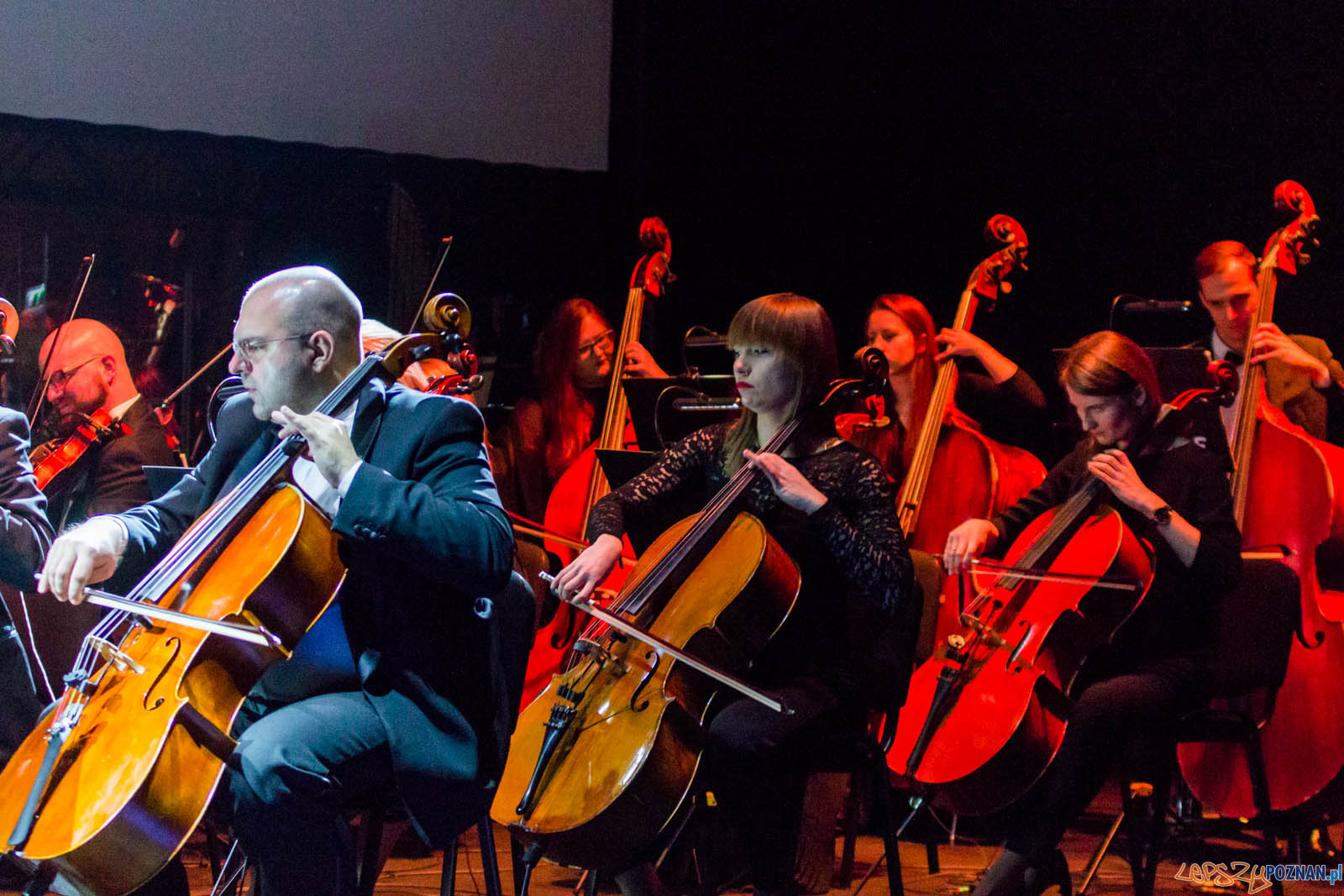La La Land Foto: lepszyPOZNAN.pl / Ewelina Jaskowiak La La Land Foto: lepszyPOZNAN.pl / Ewelina Jaskowiak