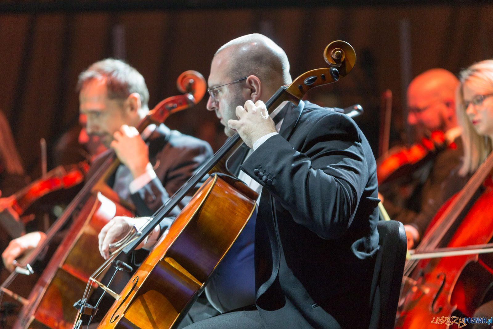 La La Land In Concert Foto: lepszyPOZNAN.pl/Piotr Rychter La La Land In Concert Foto: lepszyPOZNAN.pl/Piotr Rychter